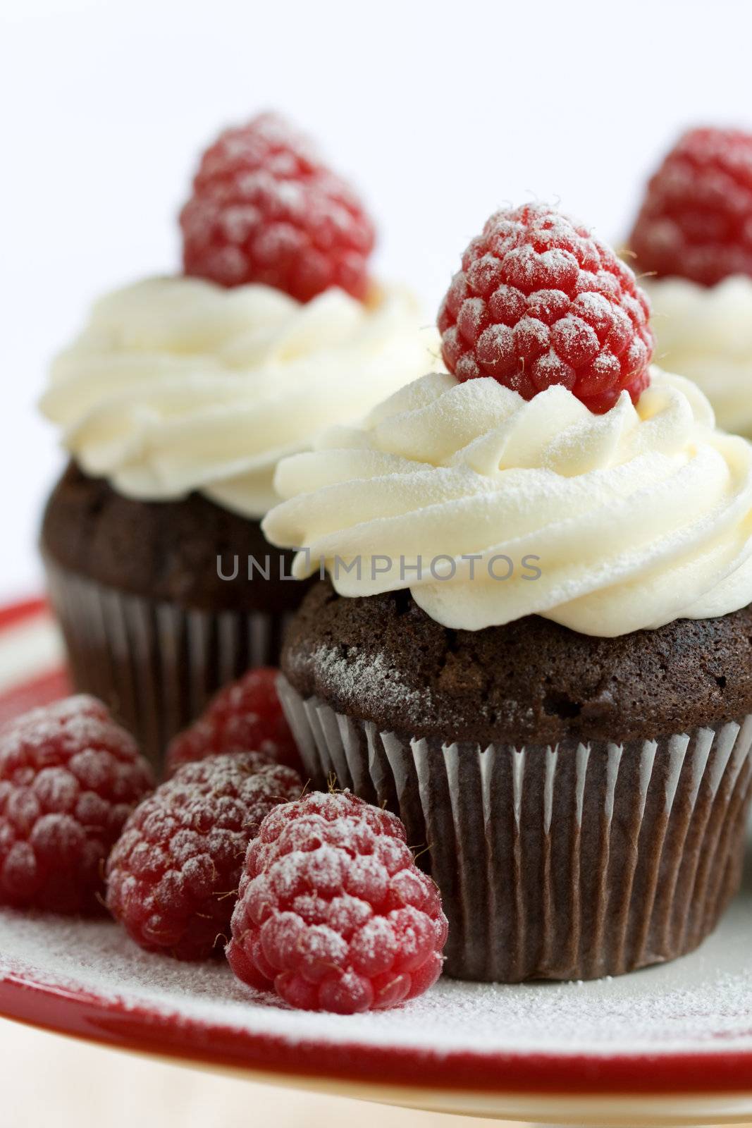 Chocolate cupcakes decorated with fresh cream, raspberries and a dusting of icing sugar