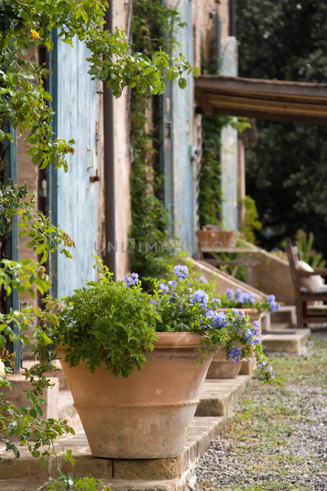 Terracotta plant pot outside a Tuscan farmhouse