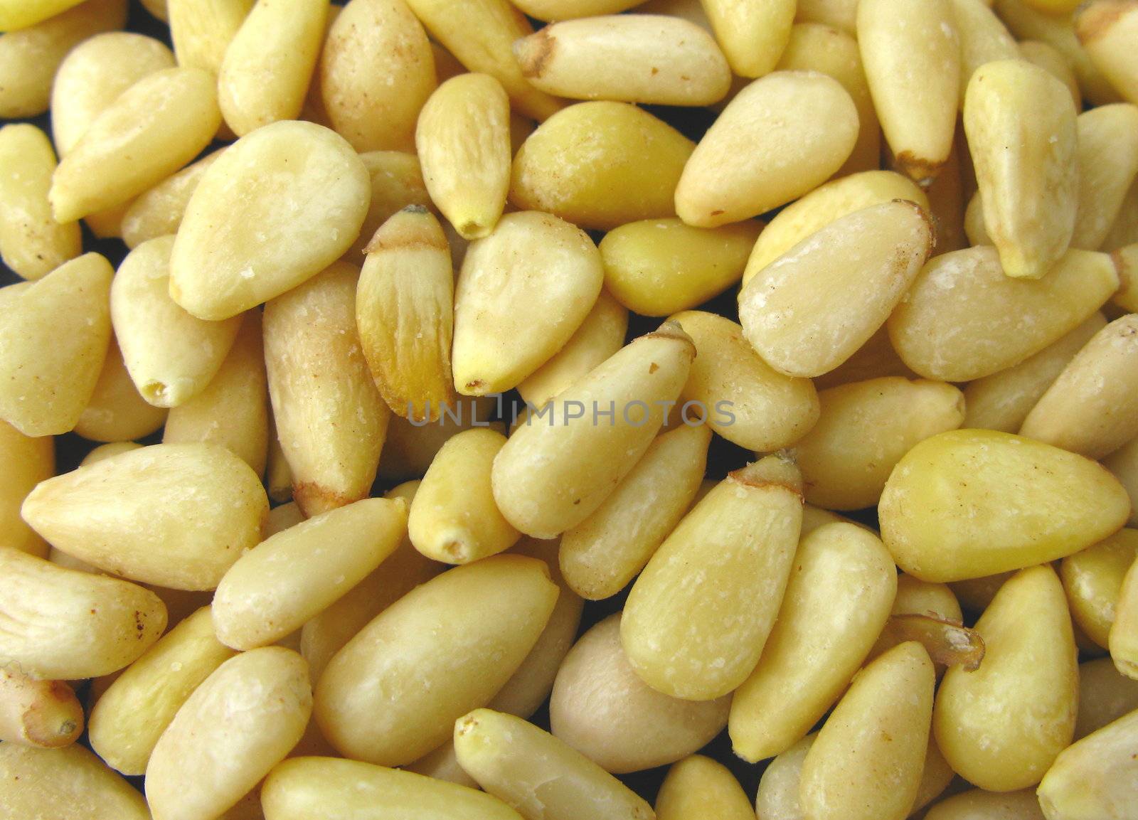 pine nuts background by mitzy