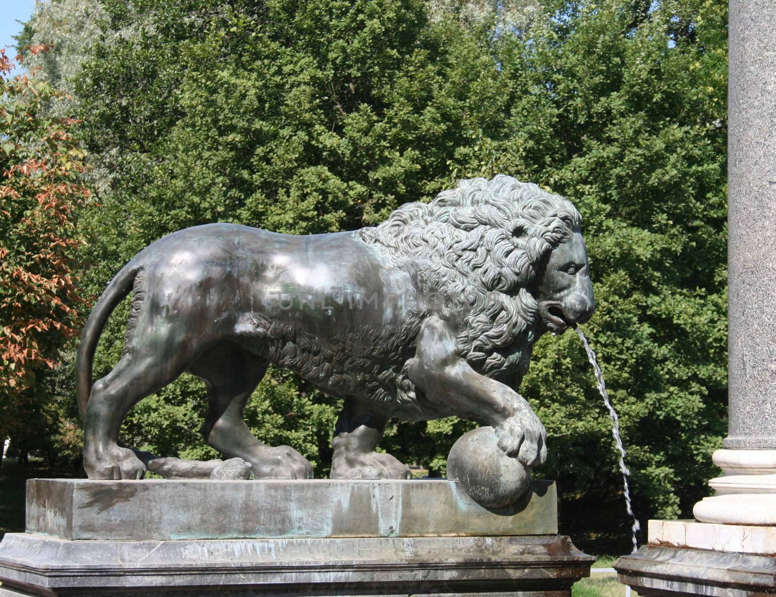 bronze lion as a fountain
