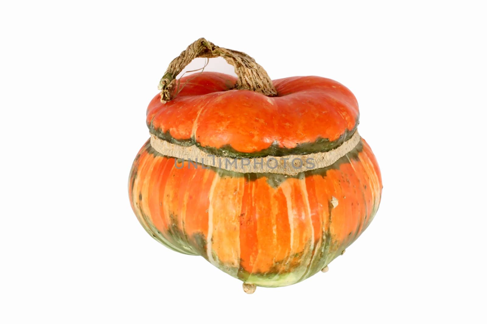 Decorative gourd, isolated on white, clipping path