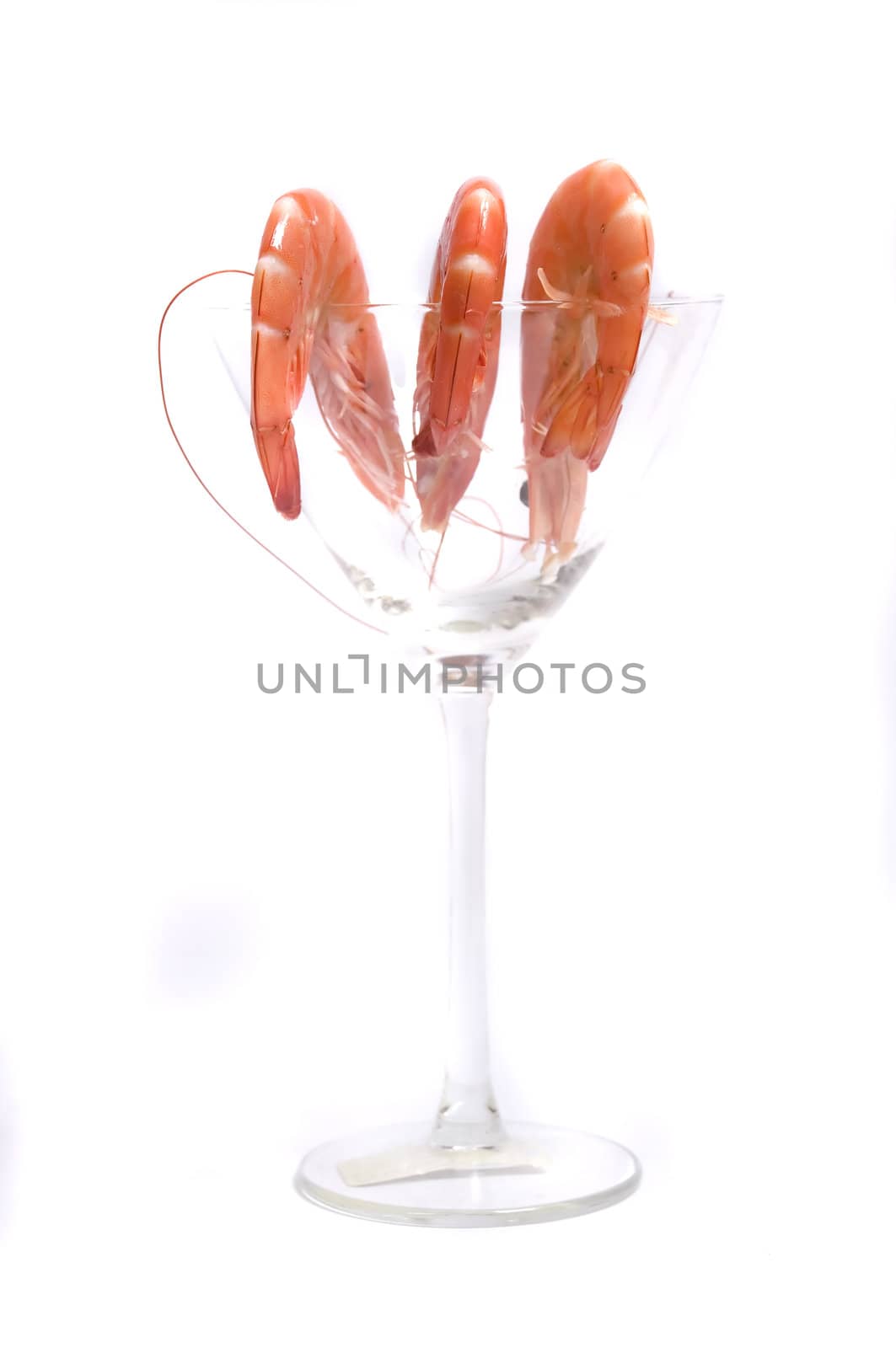 close up of a shrimp cocktail in the making,isolated on white