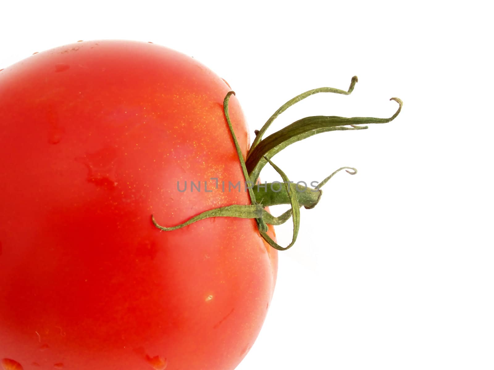 Macro one tomato by K_Kot