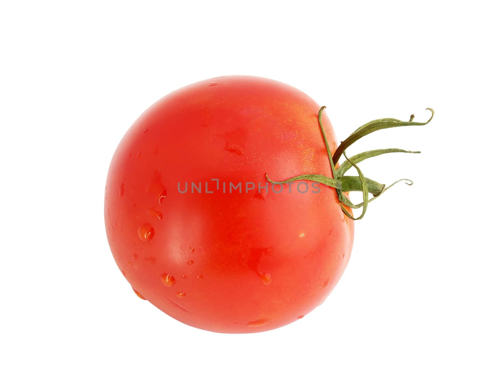 One tomato isolate on white background
