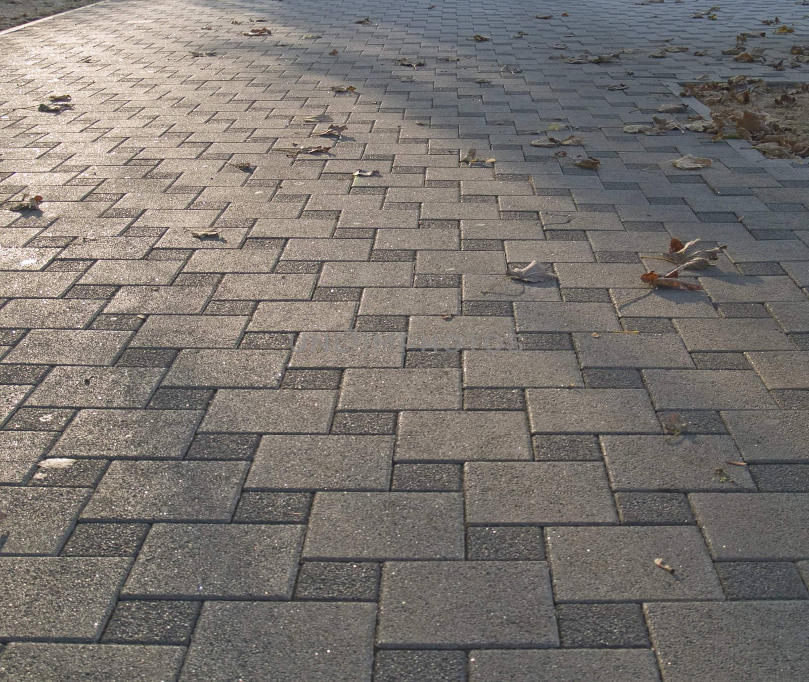 Paving stones which can be used as a background