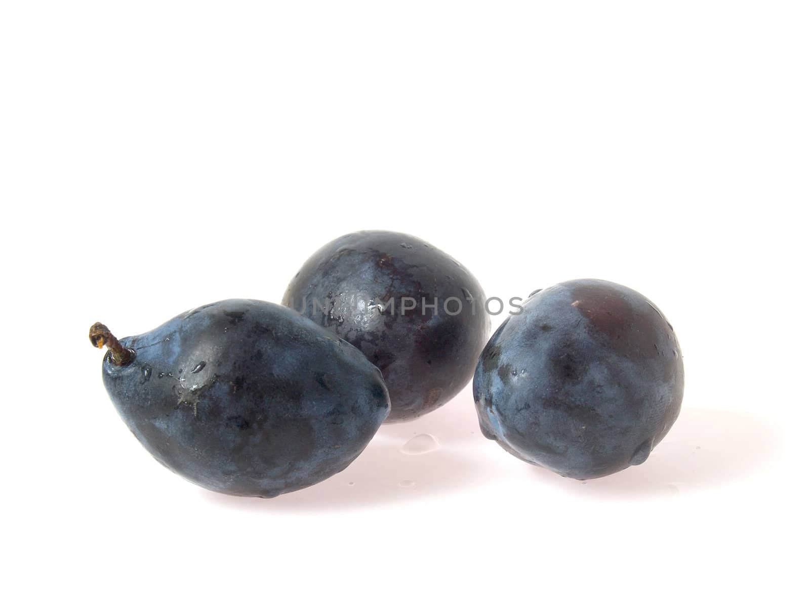 Italian plums, fresh with water droplets, isolated on white background