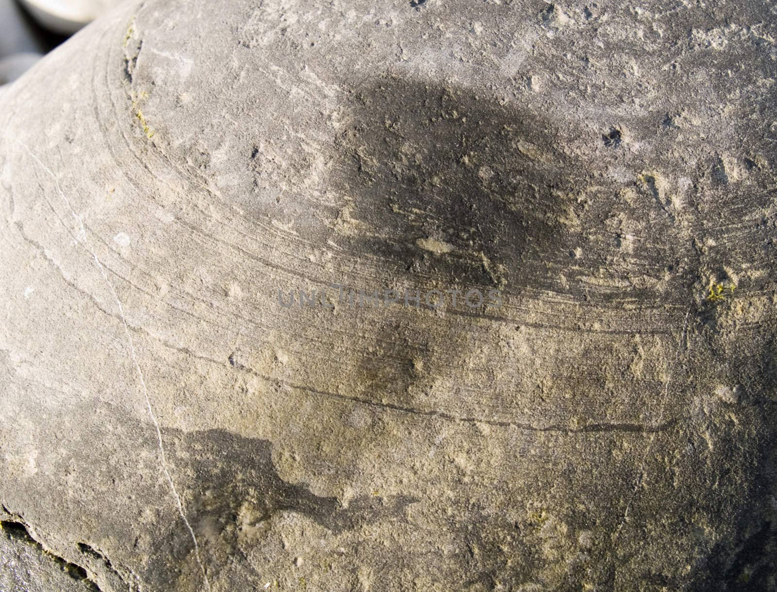 Dark river stone texture shot close-up which can be use as background