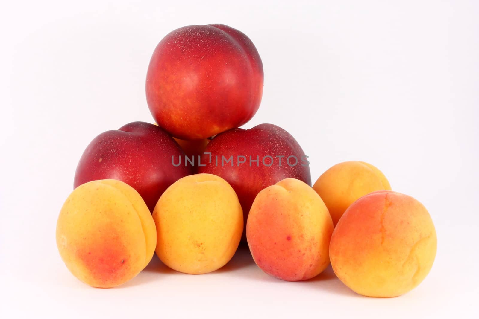 fresh colorful riped apricots and nectarines