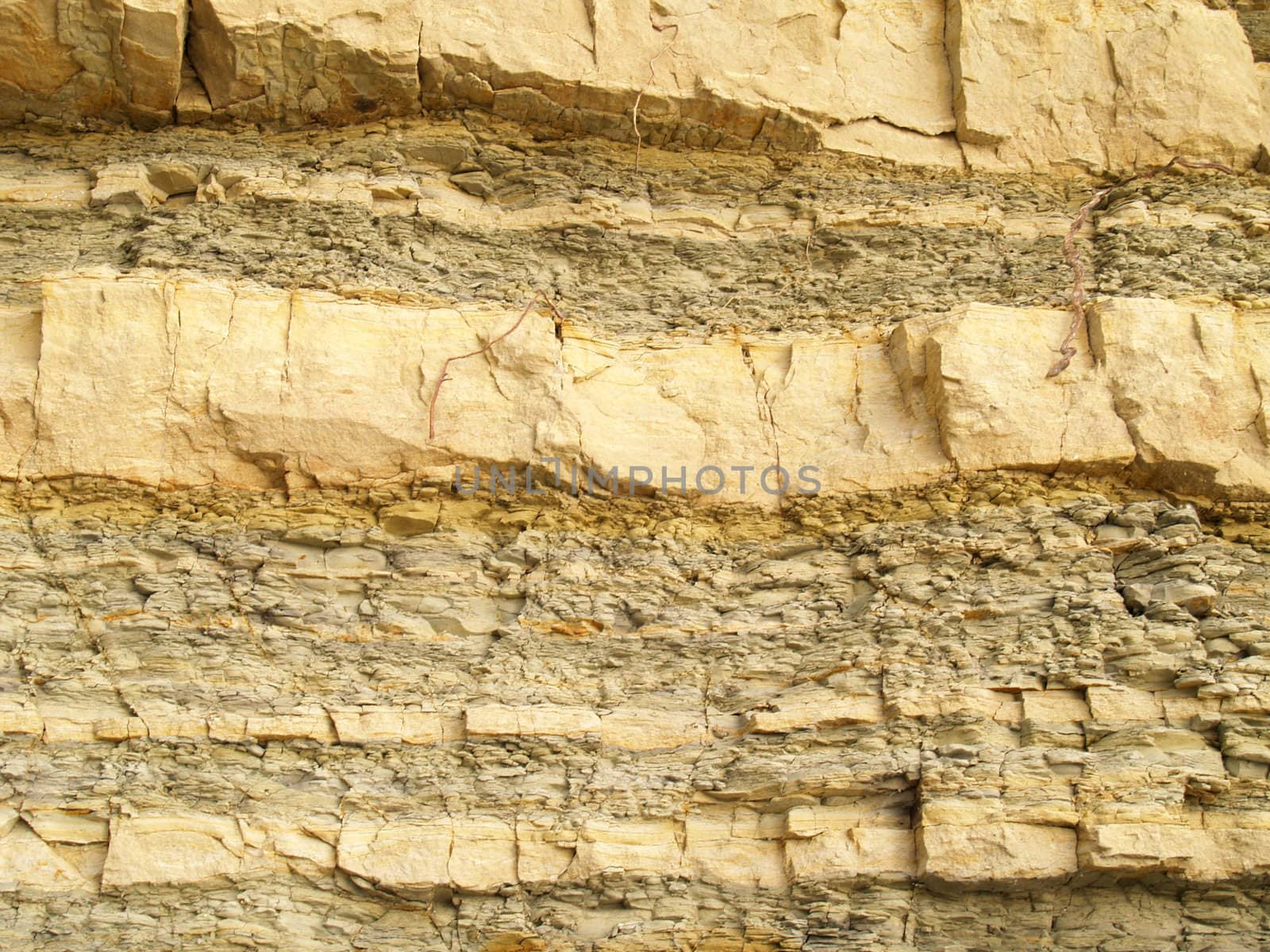 Shale rock texture shot close-up which can be use as background.