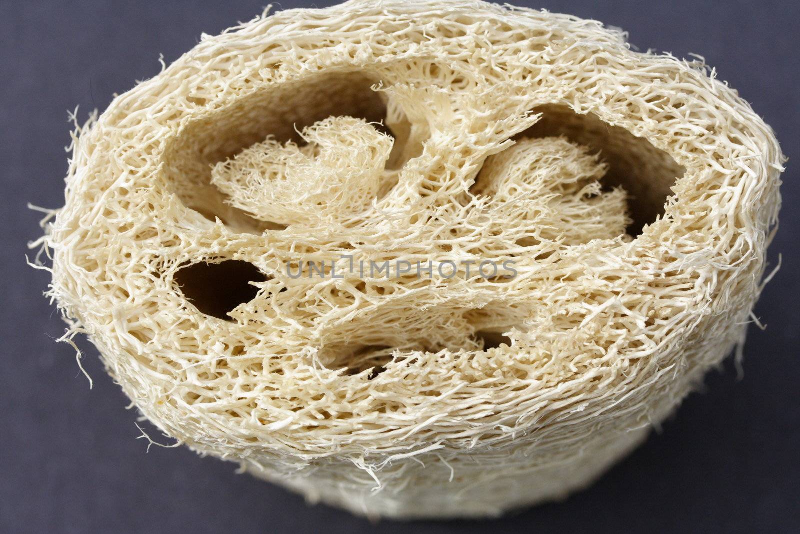 loofah