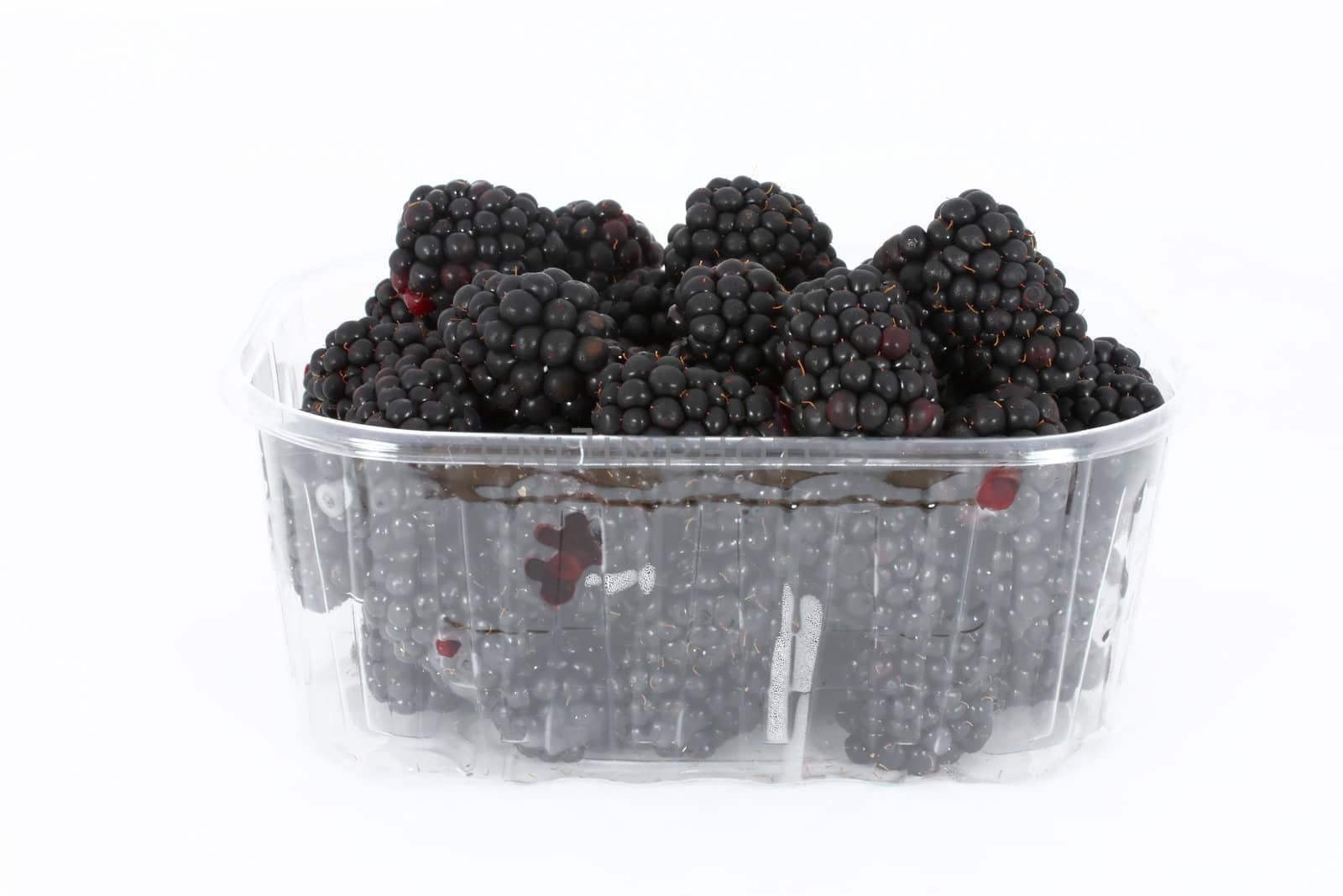 Fresh blackberries in plastic container on white background