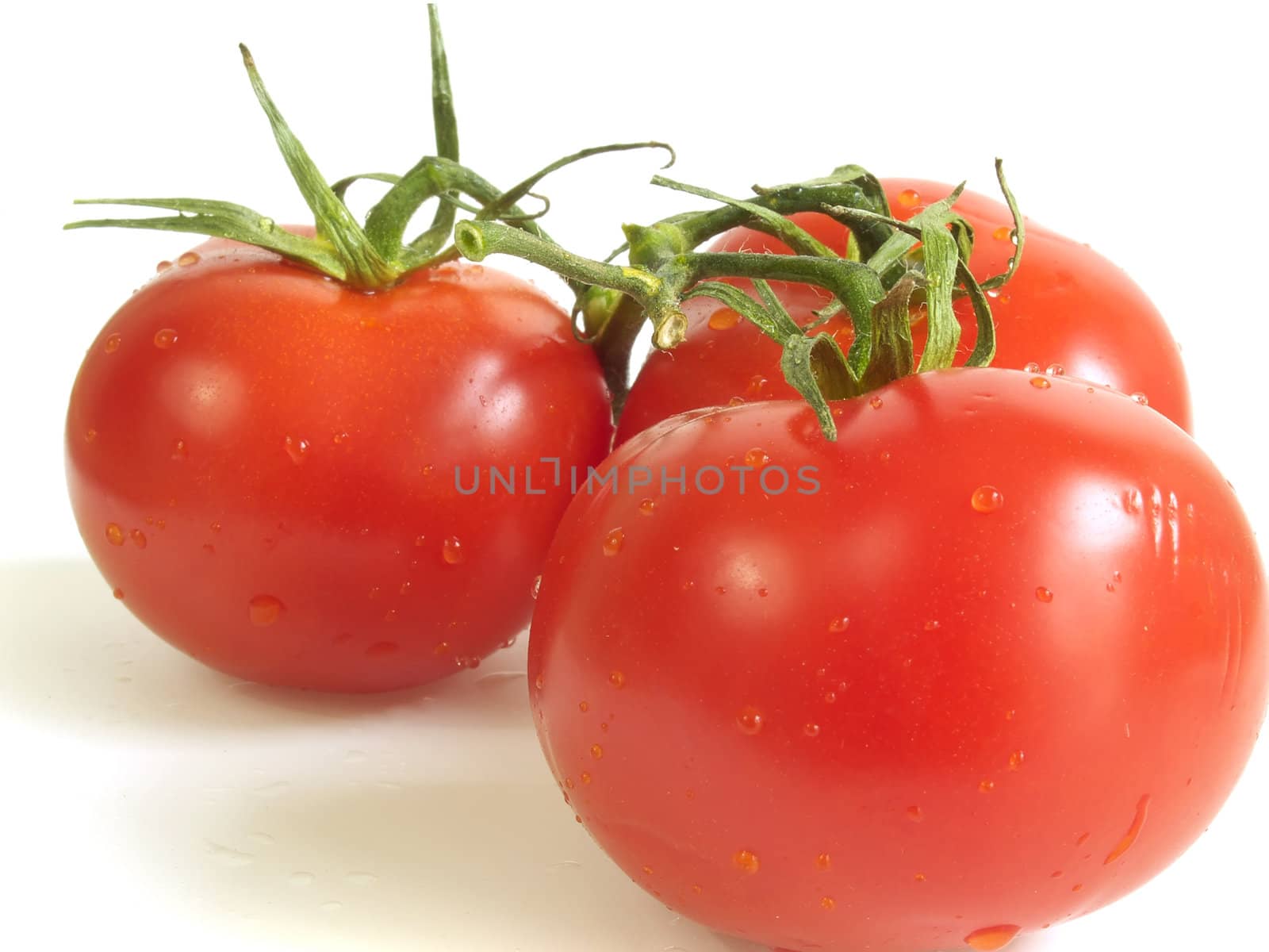 Tree vine tomatoes, fresh with water droplets, isolated on white

