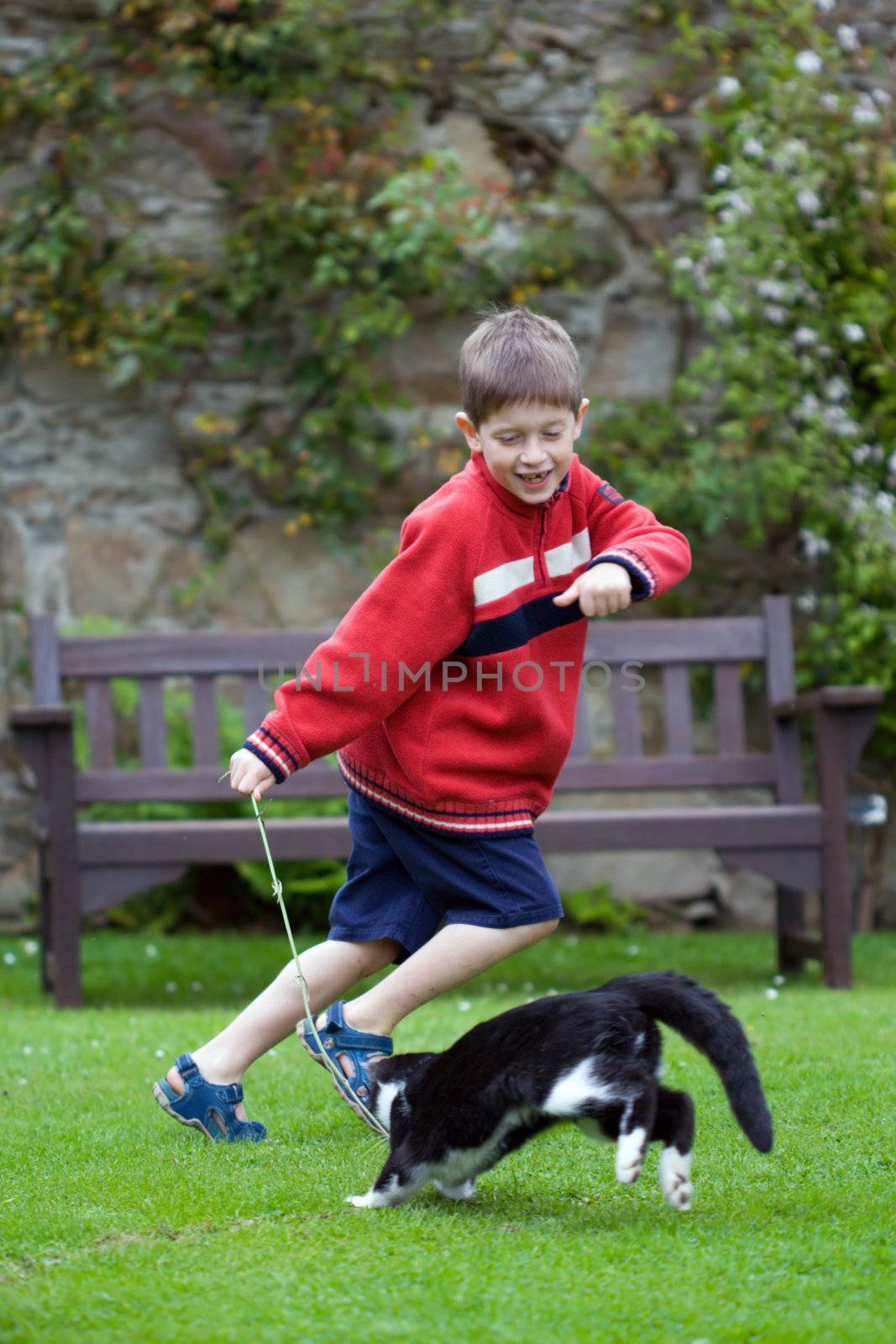 Young boy laughing and chasing his pet cat