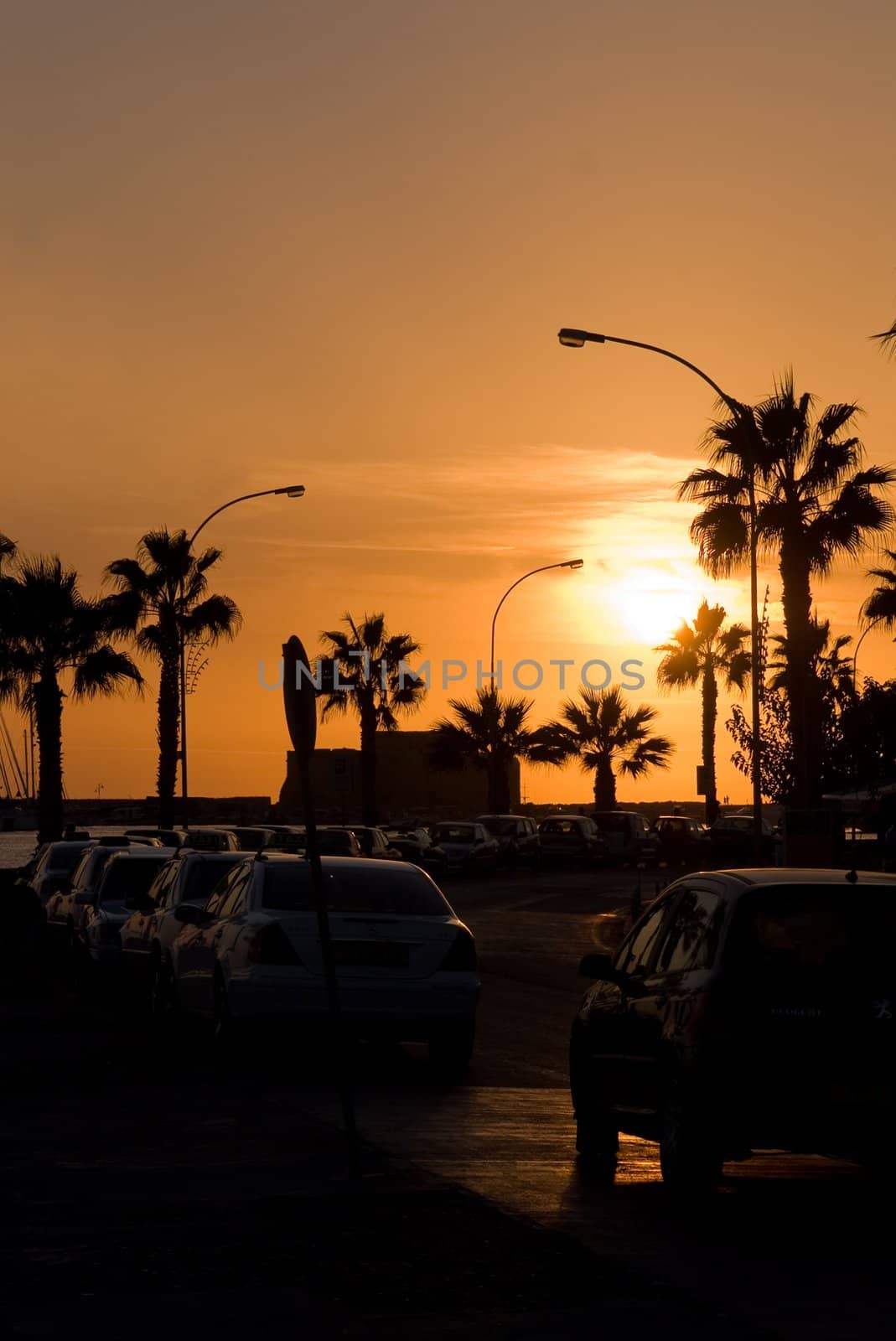Yellow sunset with cars, palms and lampposts