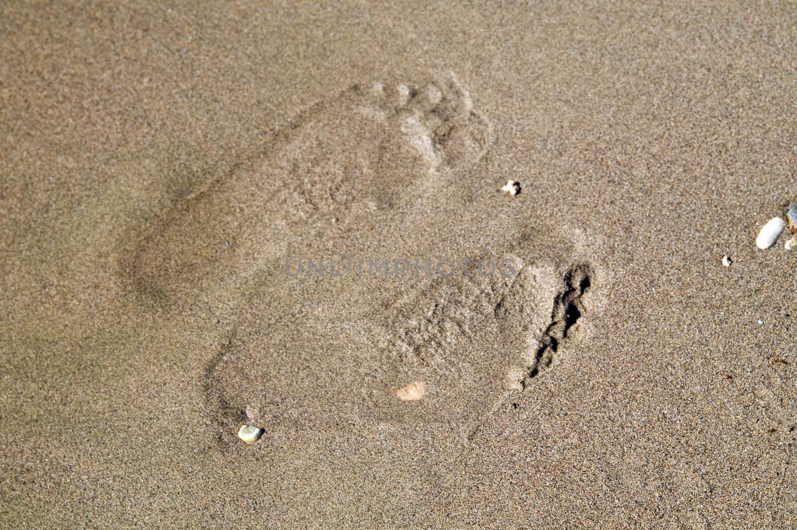 Two footprints on wet sand by lilsla