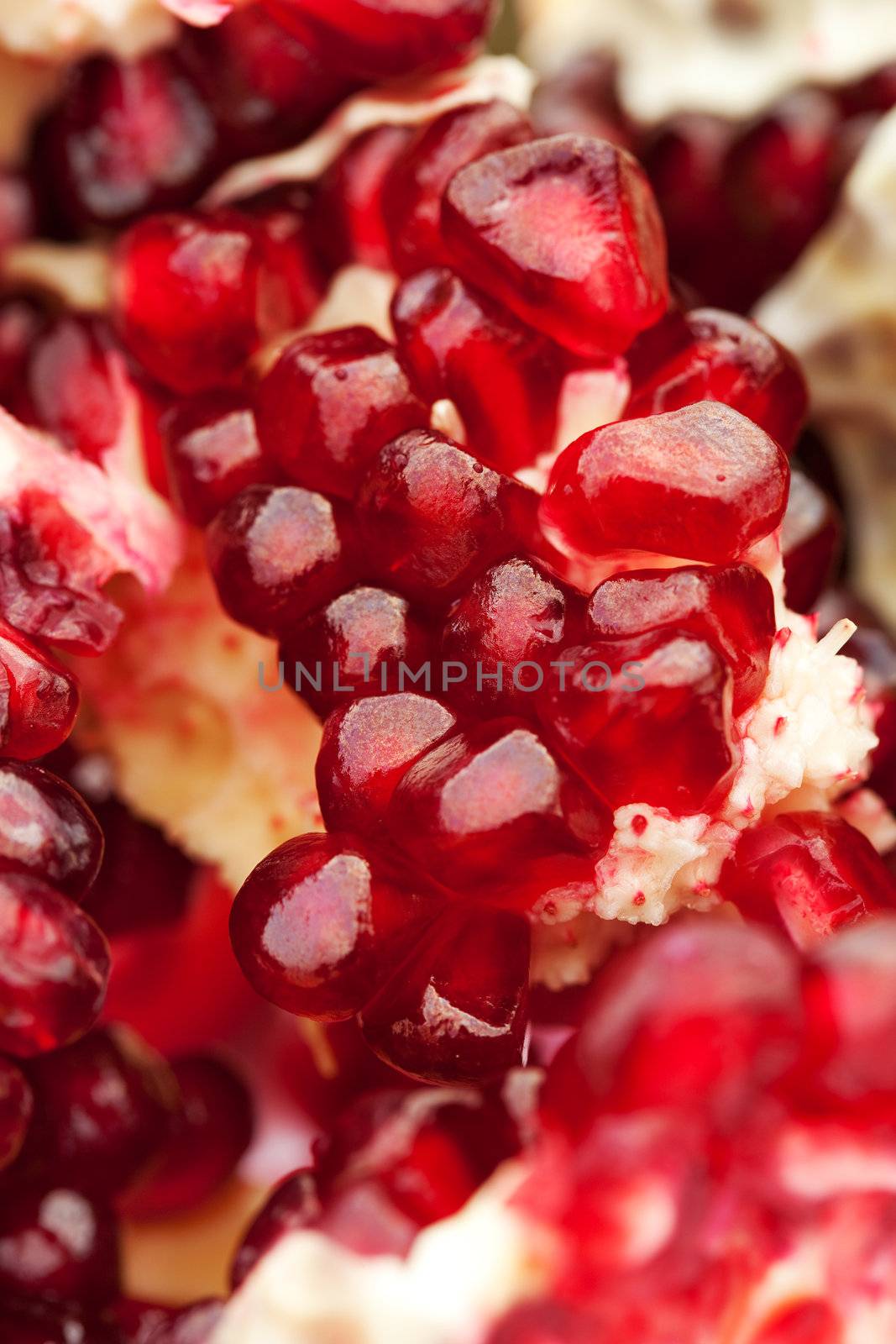 Pomegranate by Gravicapa