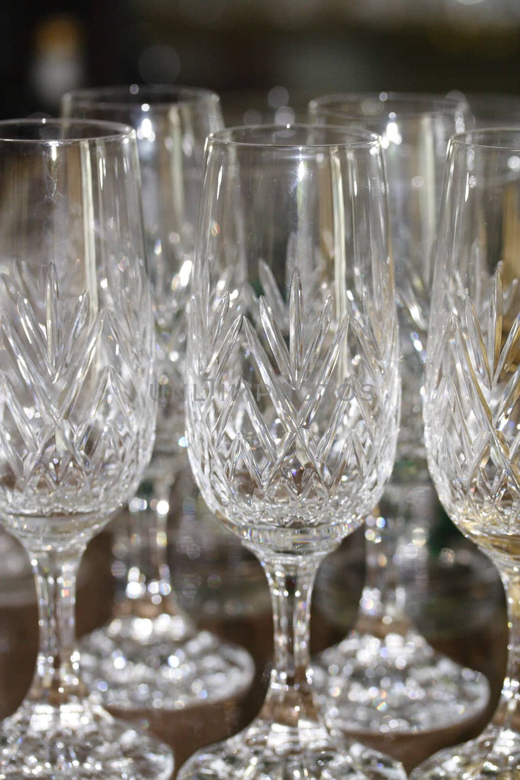 champagne glasses