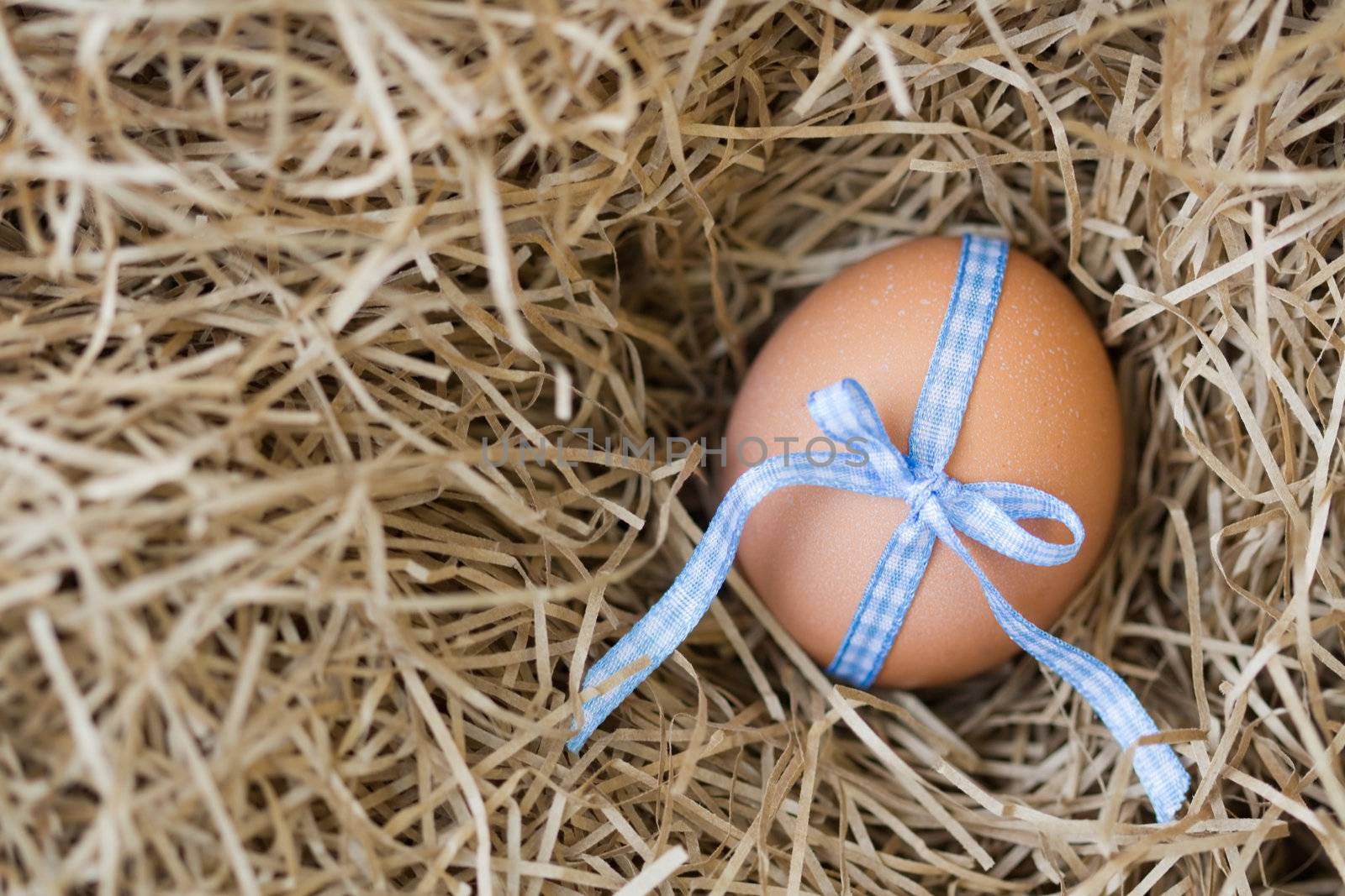 Egg tied with a  blue gingham ribbon, shallow depth of field