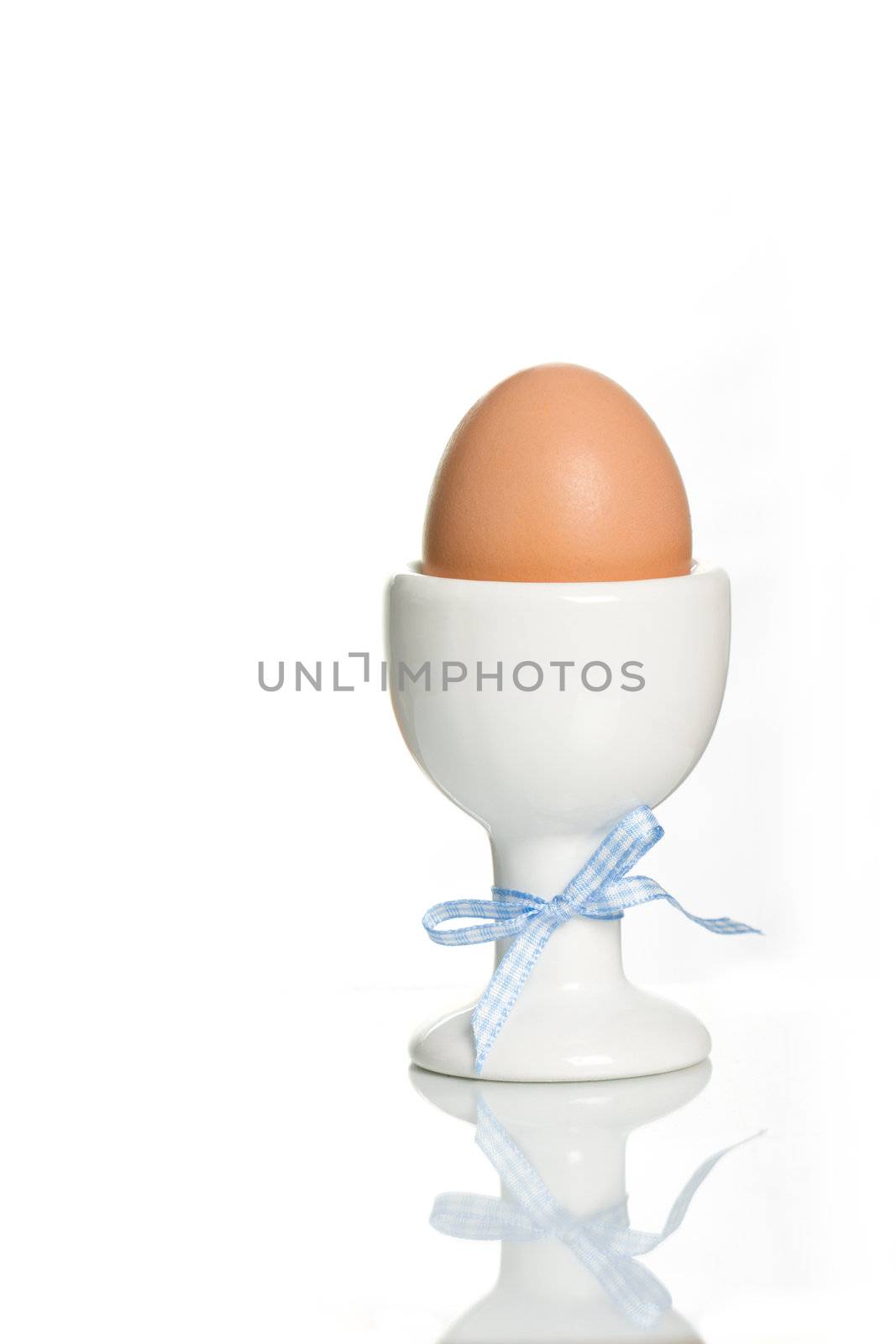 Single egg in a white egg cup