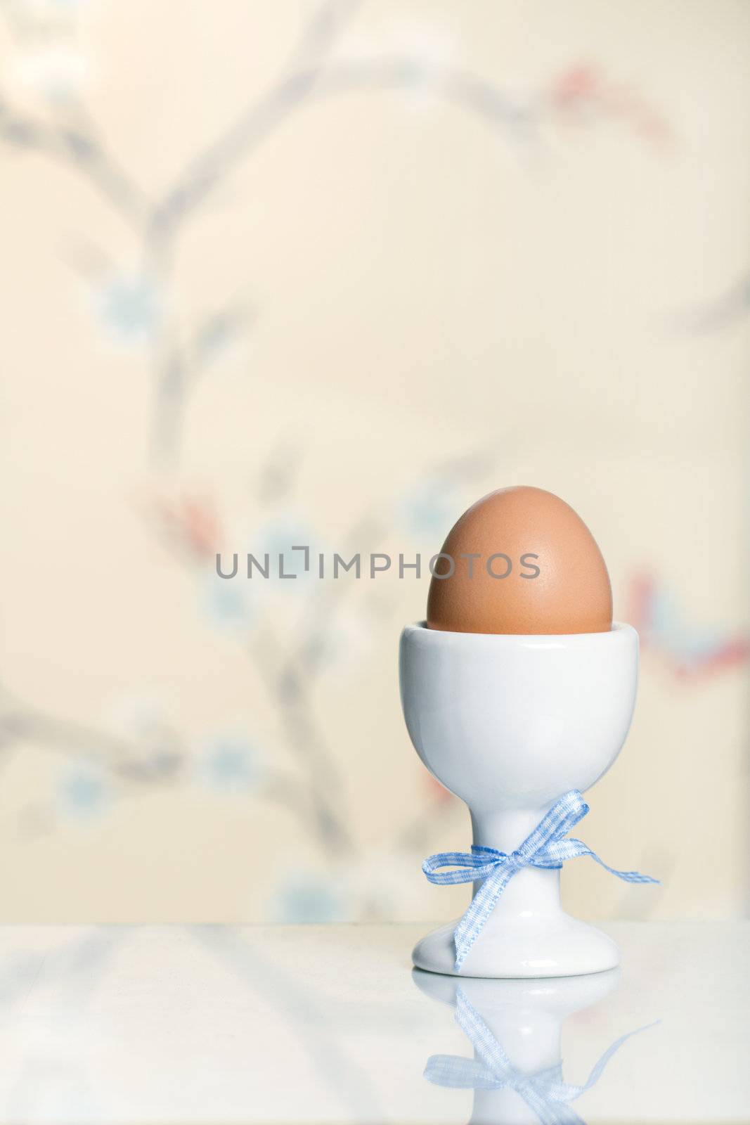 Single egg in an egg cup by RuthBlack