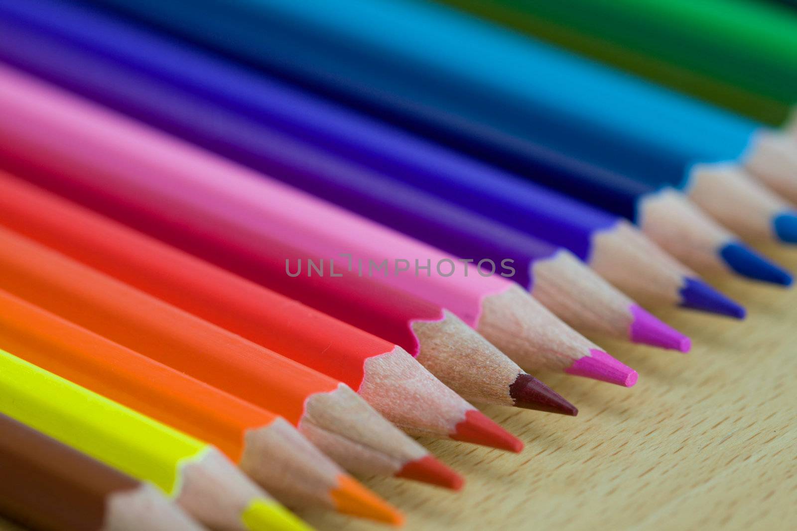 Freshly sharpened coloring pencils in a row