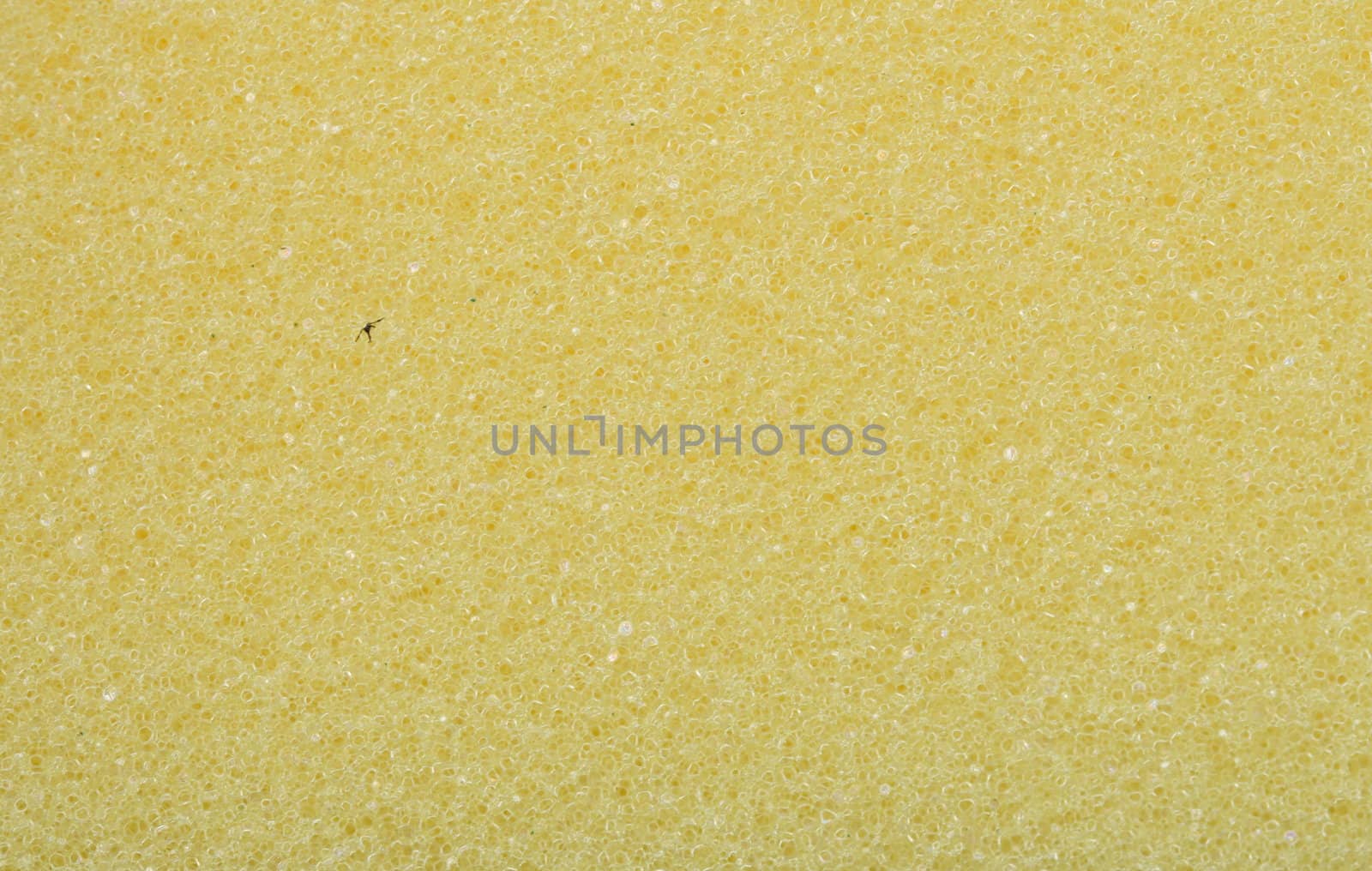 synthetic sponge background