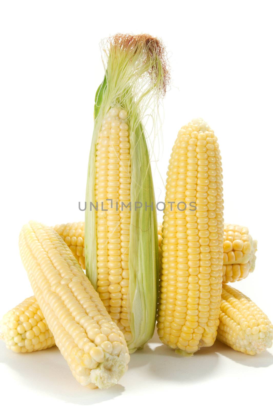 corn by Goruppa