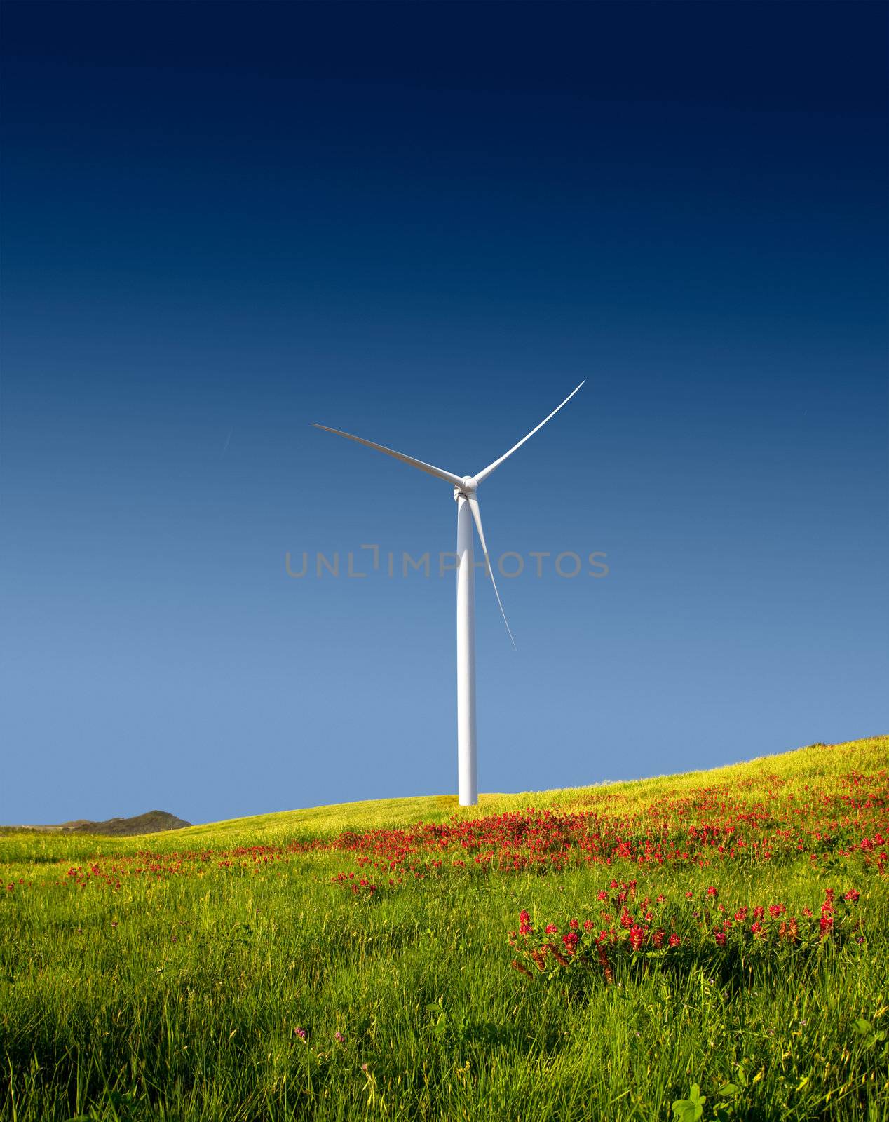 Beautiful green meadow with a wind turbine generating electricity