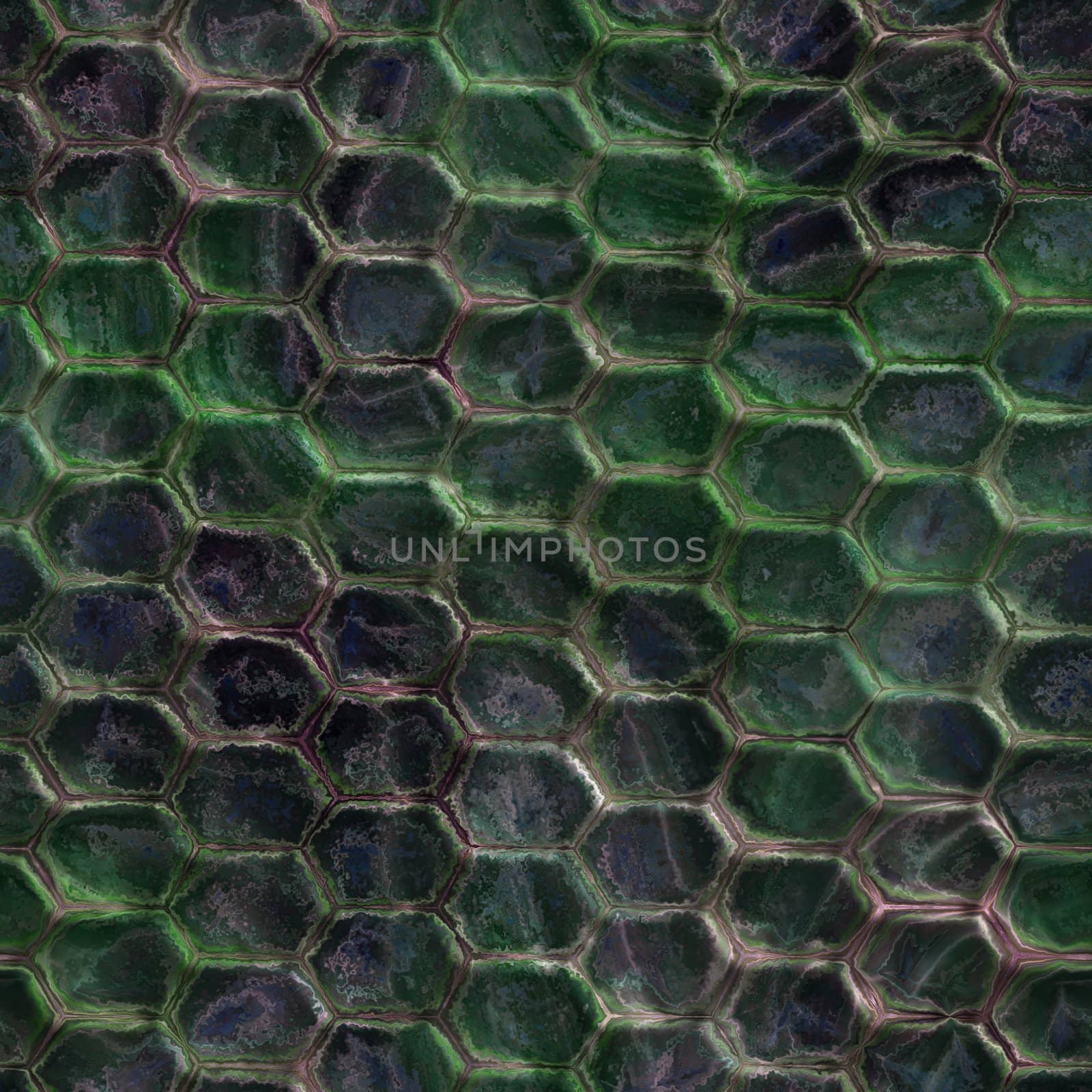 The texture snake skin,  suits for duplication of the background, illustration