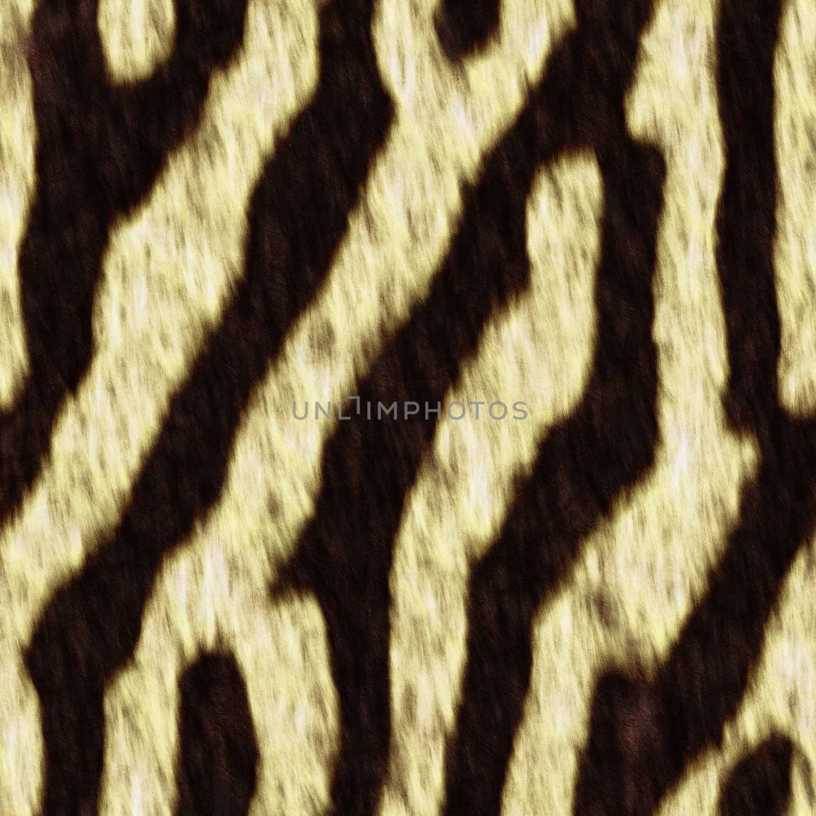 The texture zebra fell,  suits for duplication of the background, illustration