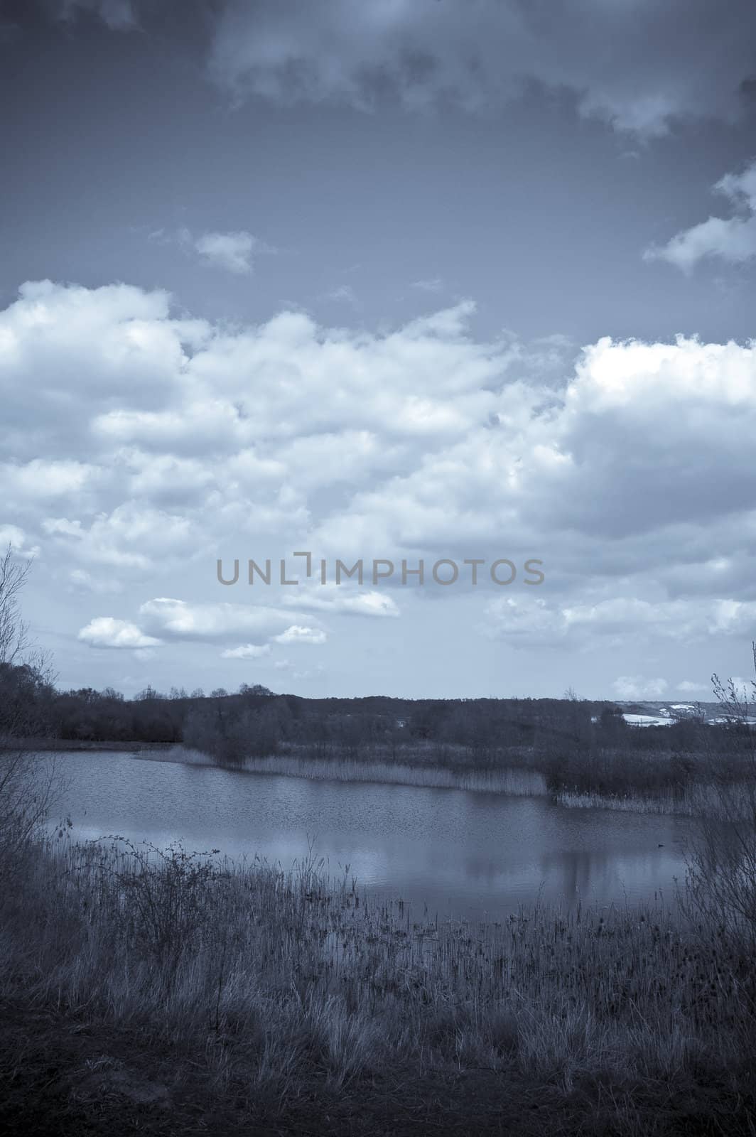 A view of a lake in spring toned with blue