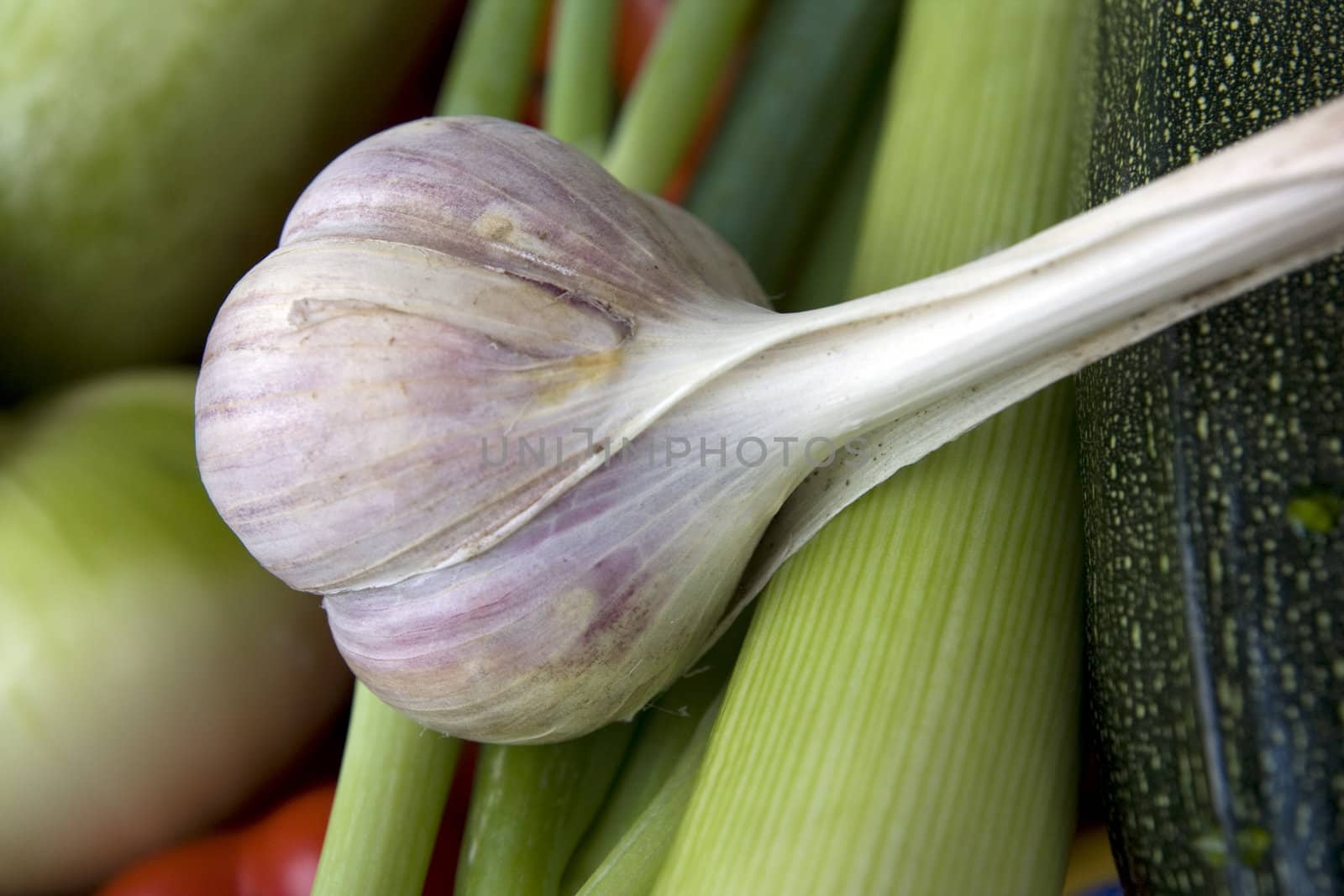 Fresh, tasty garlic on the green vegatables