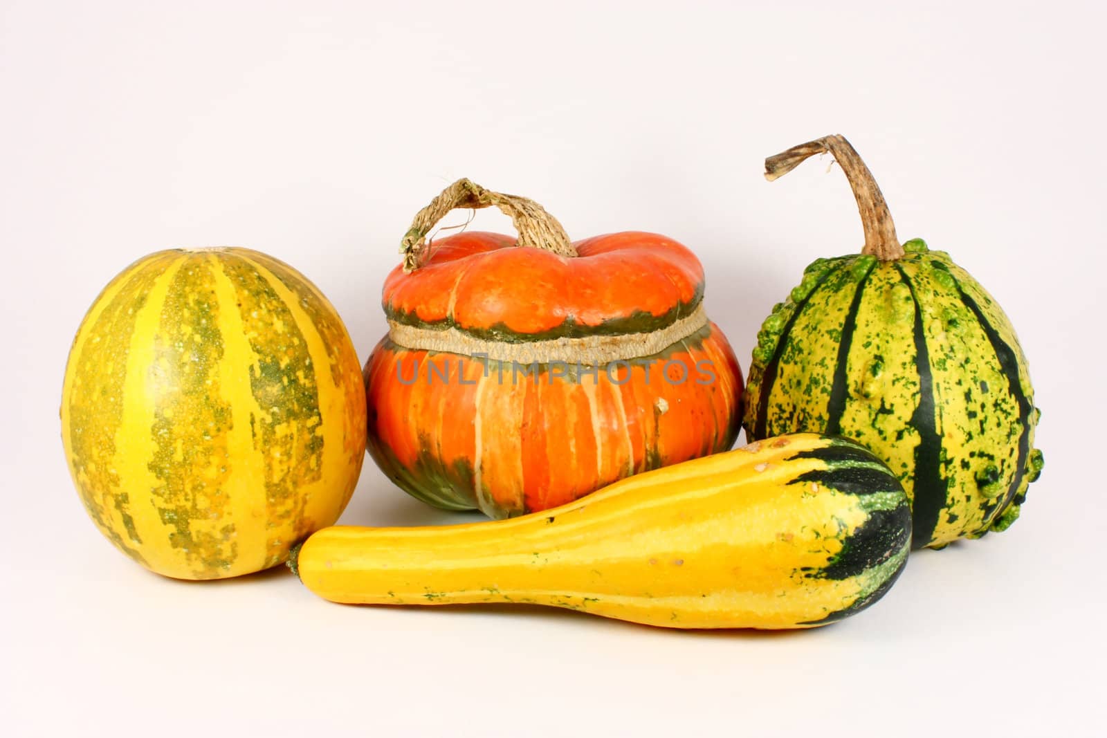 Miscellaneous colorful decorative gourds, isolated