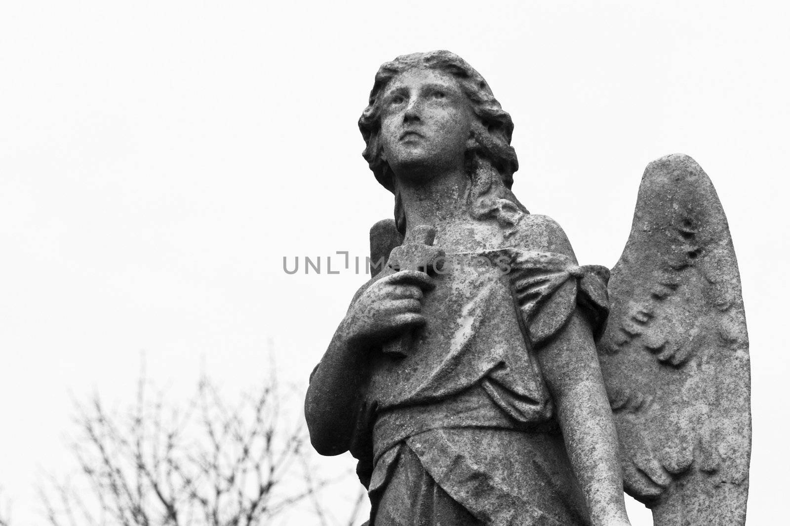 Statue adorning a grave looks heavenward