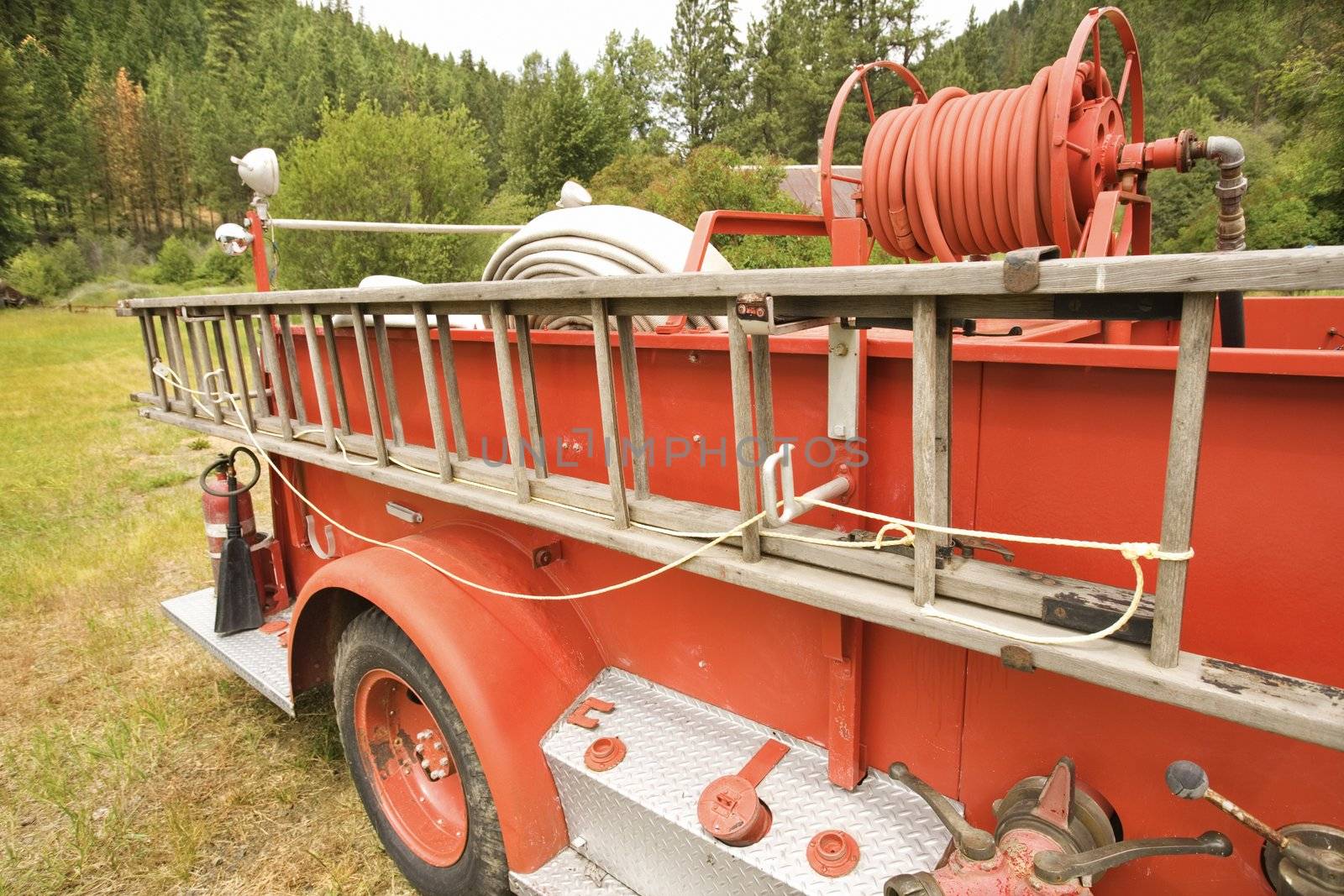 Close-up of old fire truck and ladder.