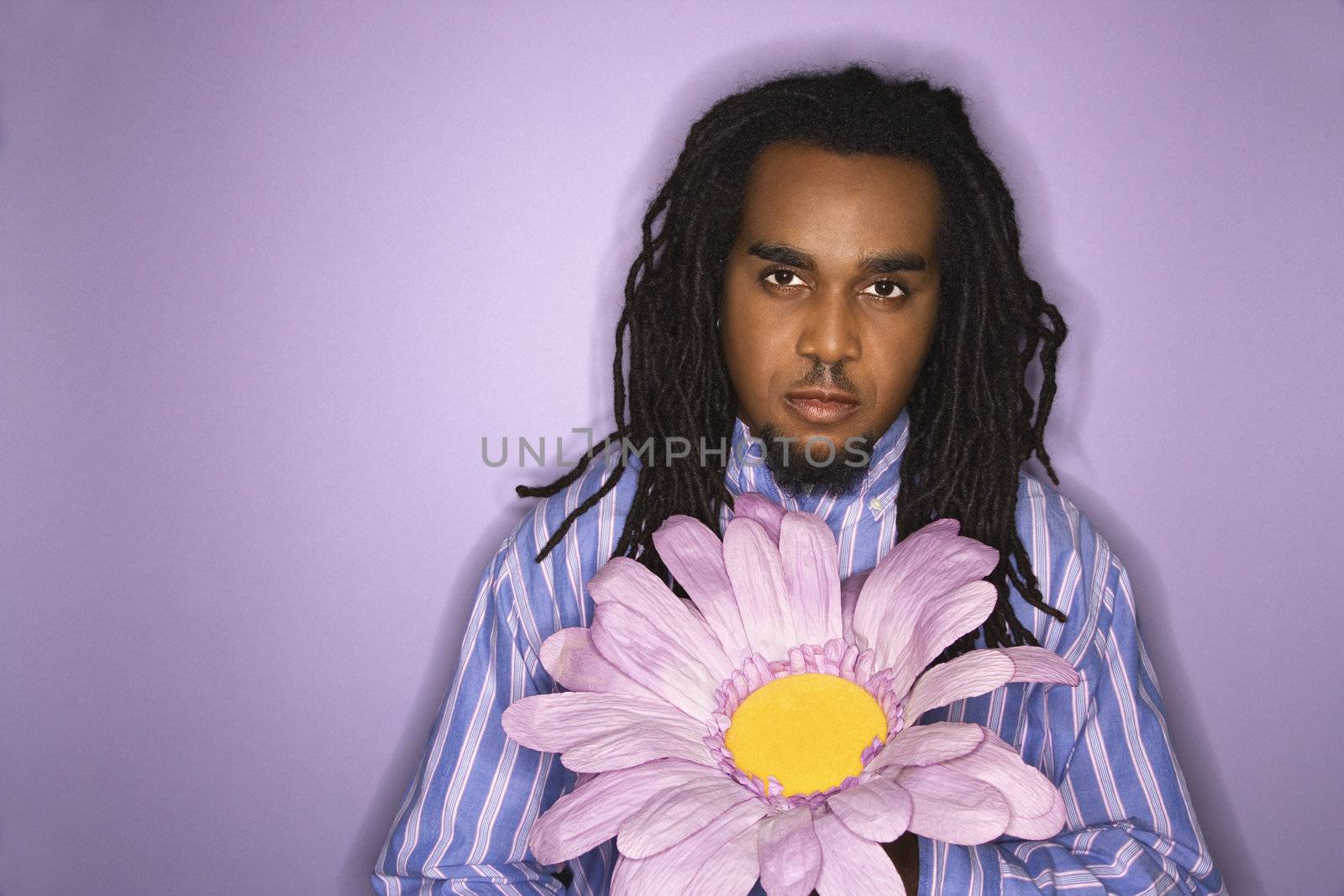 Serious African-American mid-adult man holding big fake flower on purple background.