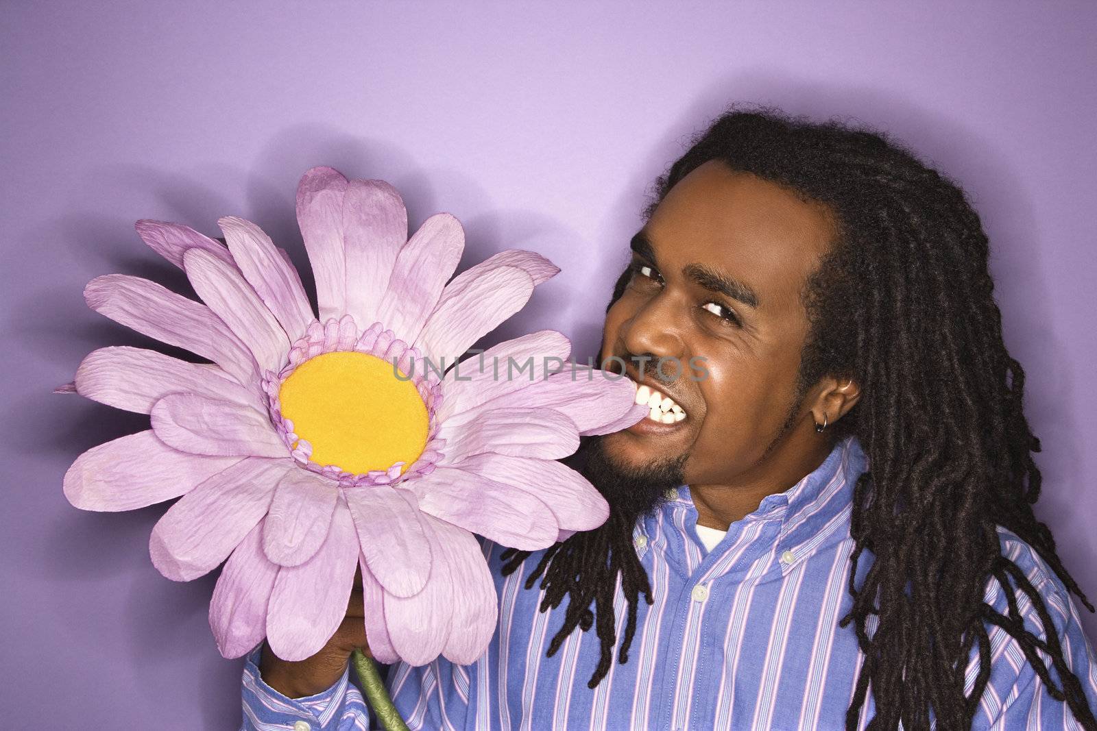 African-American mid-adult man biting big fake purple flower on purple background.
