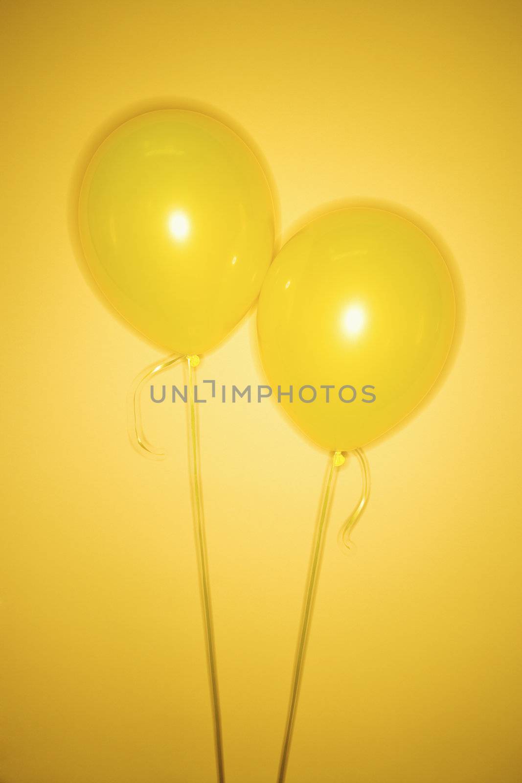 Two yellow balloons. by iofoto