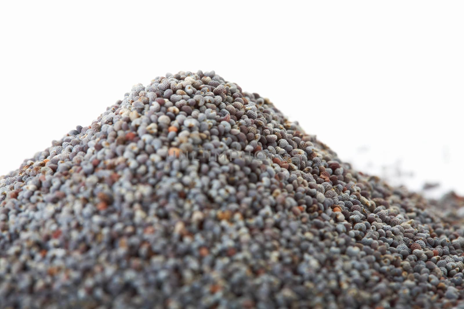 Closeup of poppy seed by romanshyshak