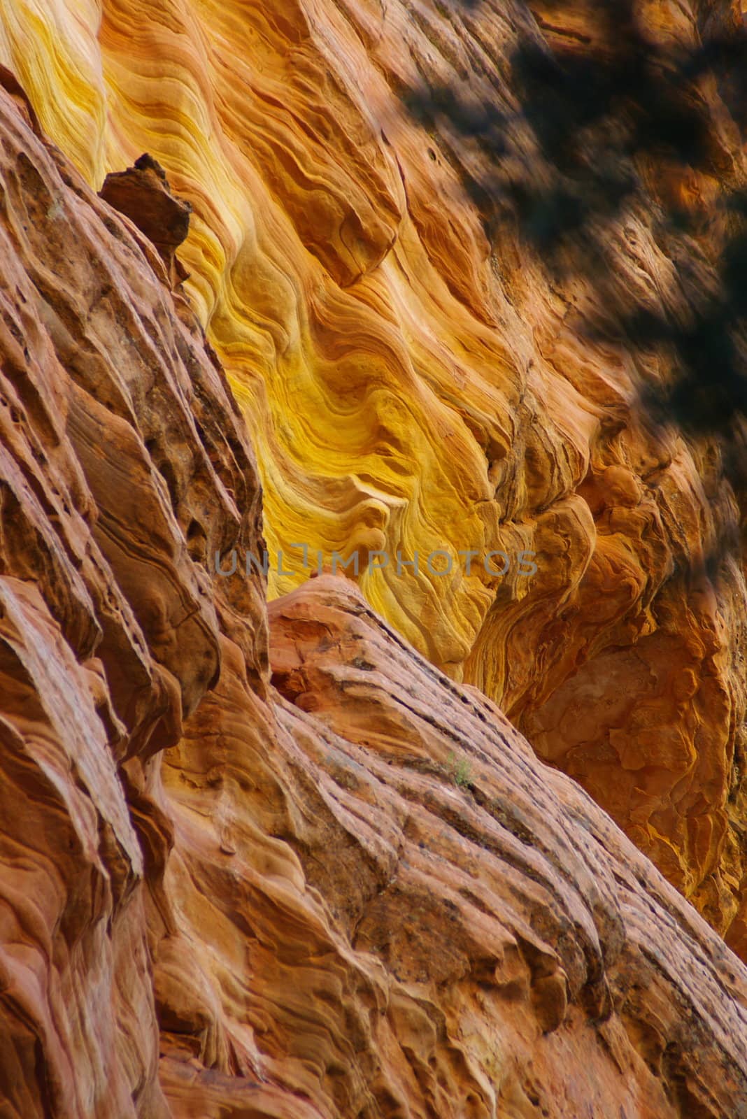 Canyon Walls A by photocdn39