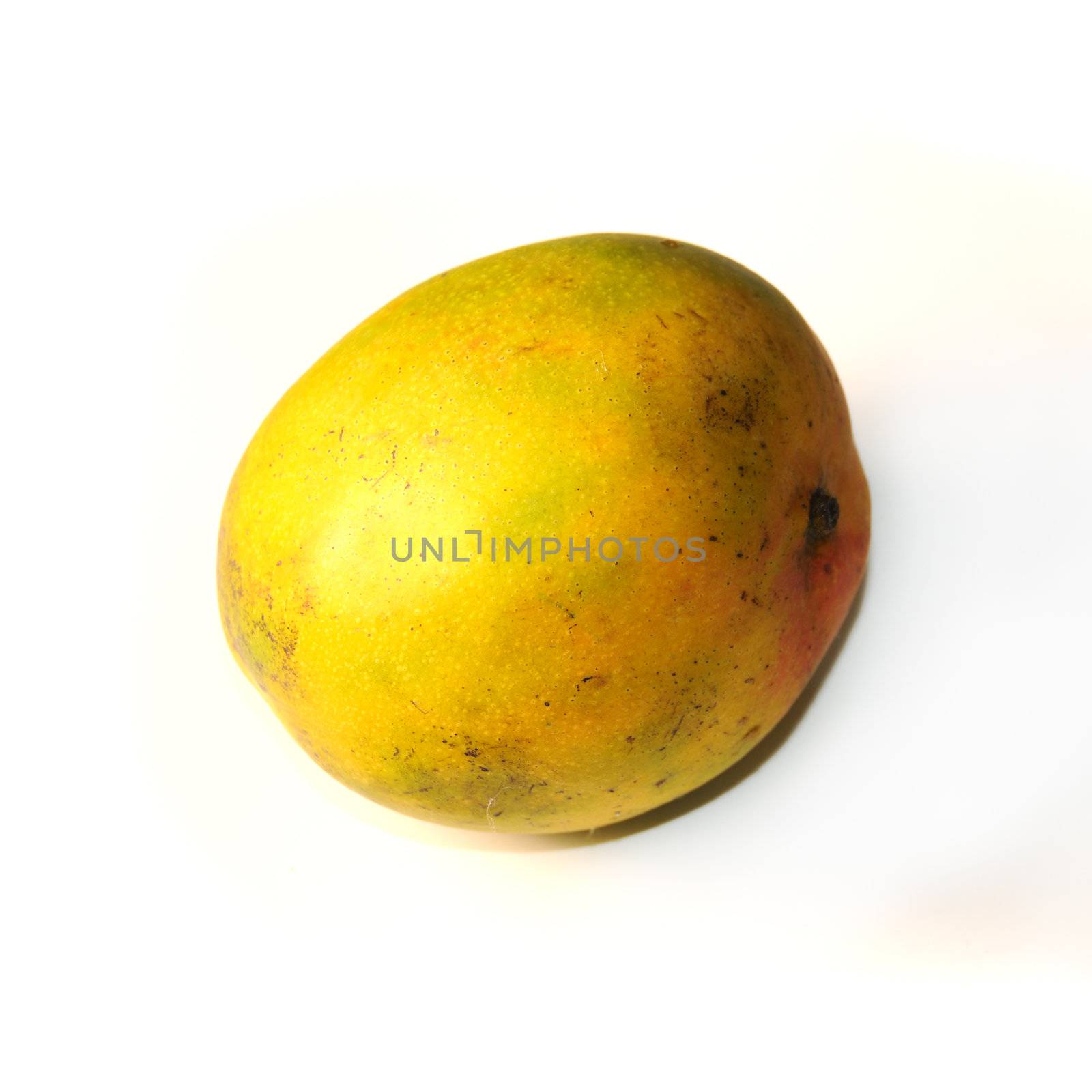 Whole ripe mango fruit isolated