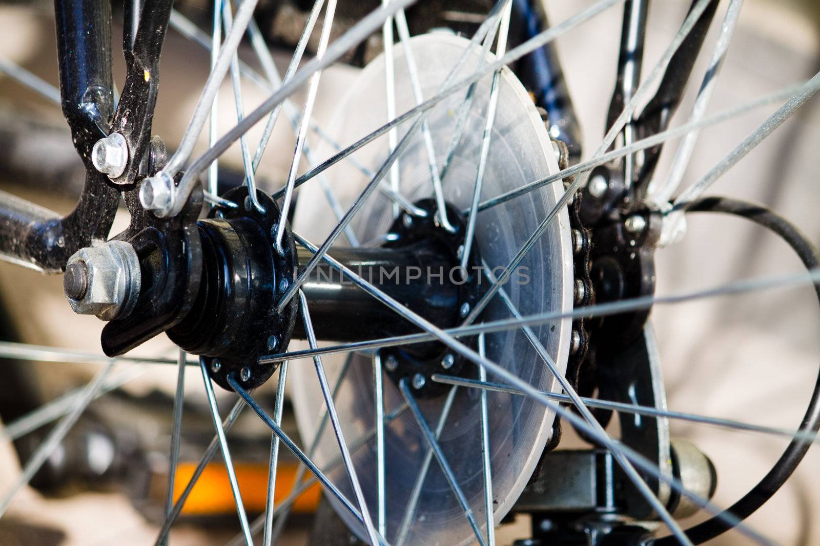 Spokes Of A Bicycle by FedericoPhoto