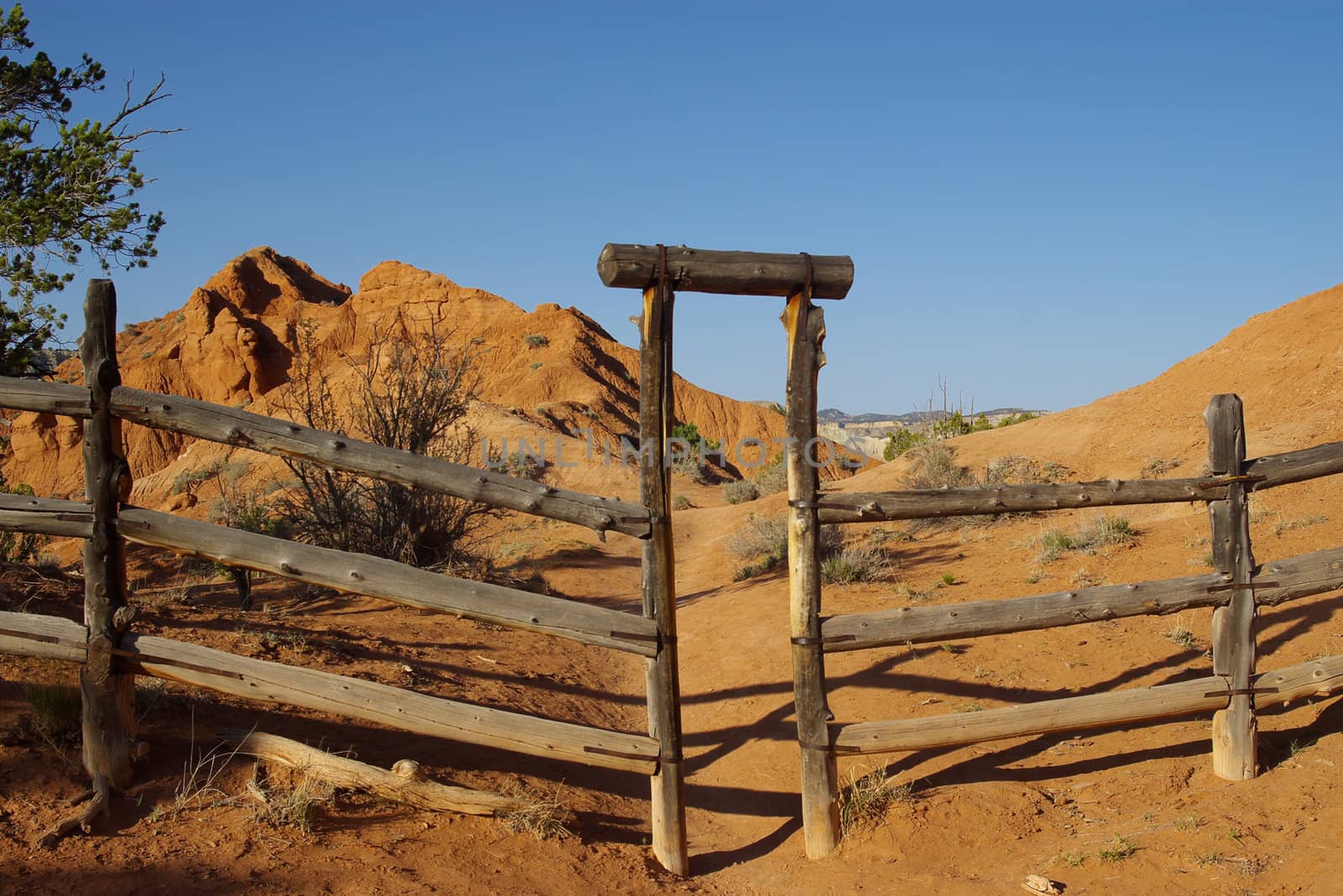 Wooden fence and gate on a ranch