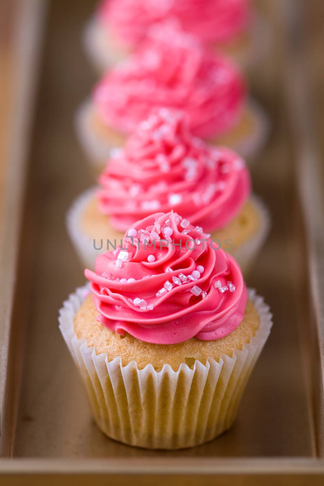 Pink cupcakes, shallow depth of field