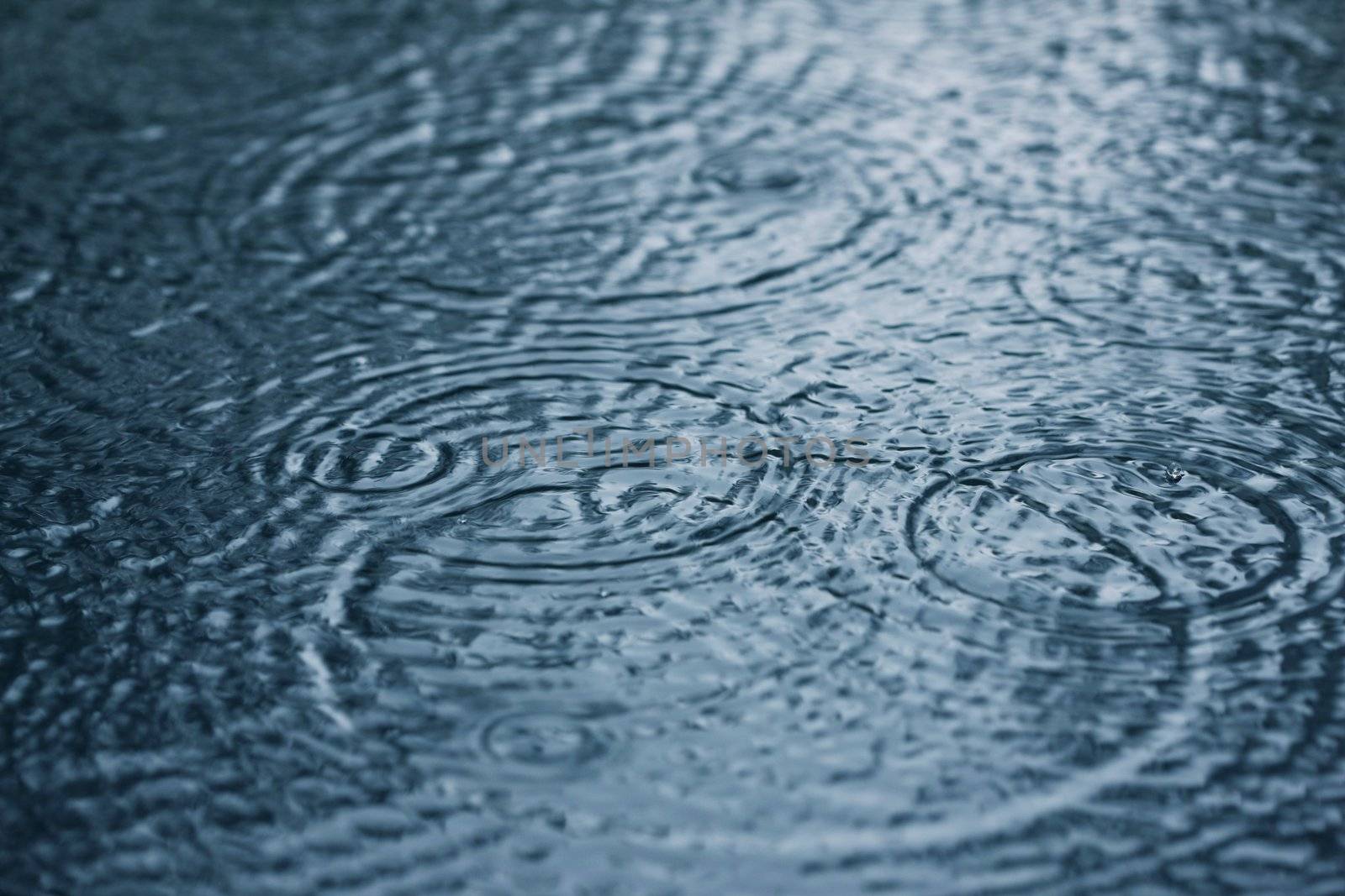 Close-up image of raindrops and rippled water during heavy rainfall - large XXL image