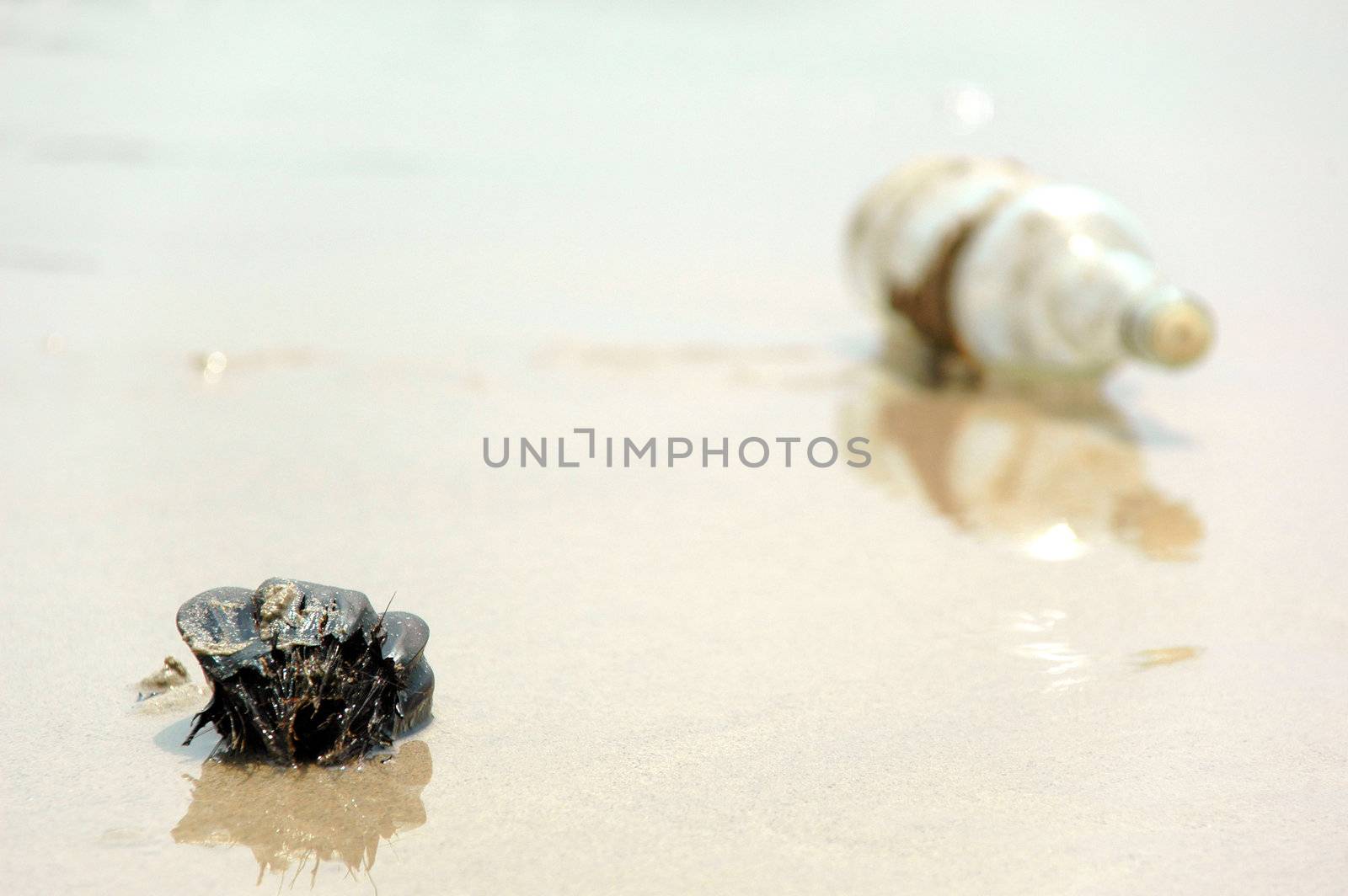 Coconut and bottle