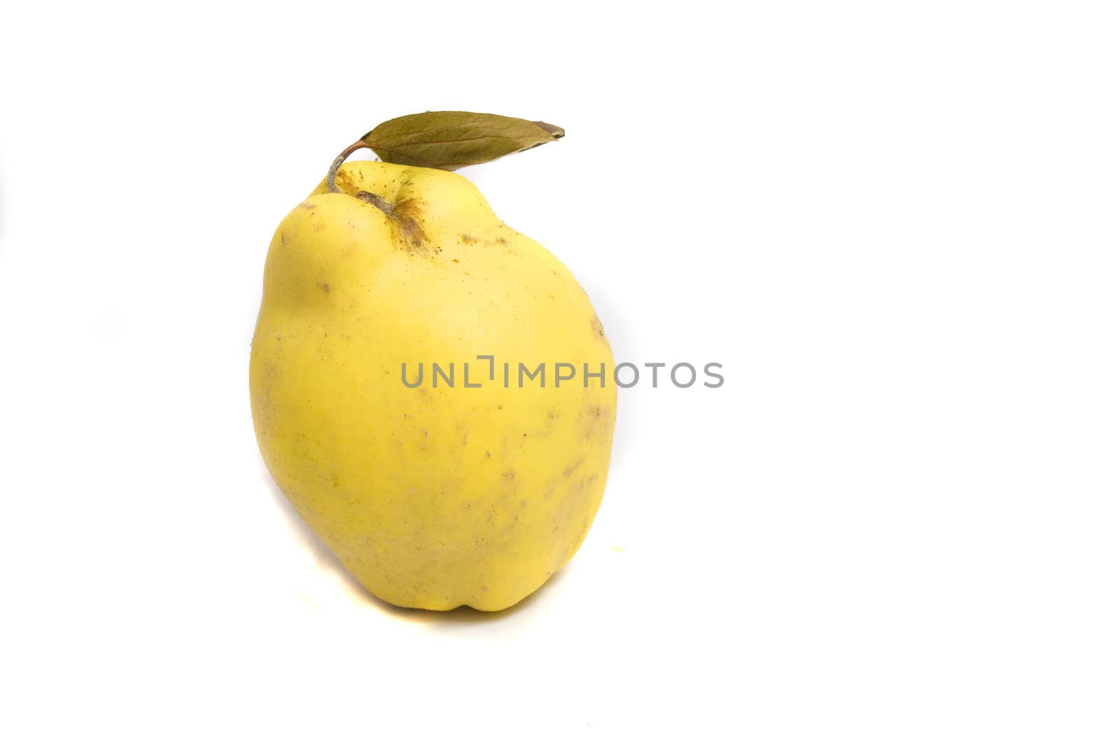 close up on a fresh scented quince, isolated on white