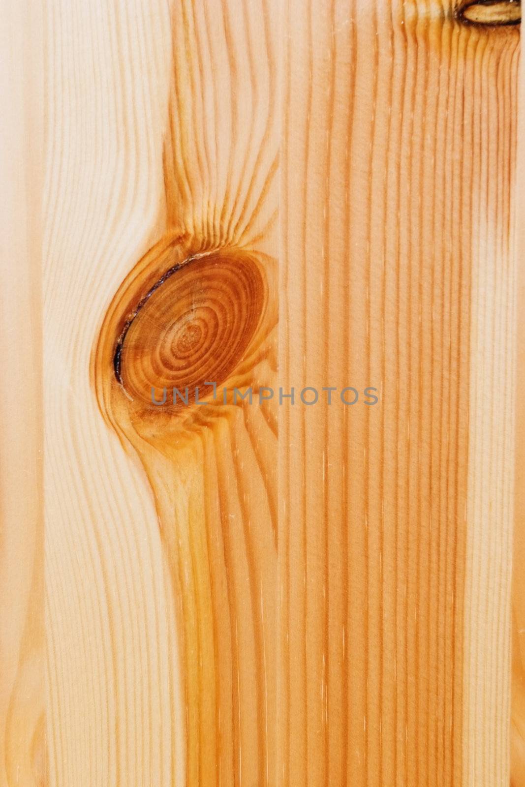 Structure of the varnished wooden board