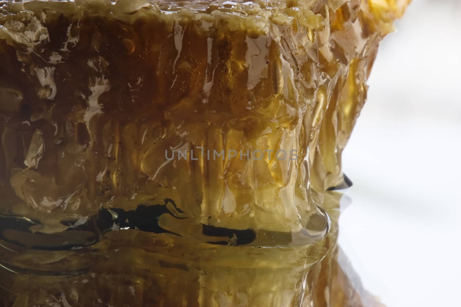 Honey honeycombs by NickS
