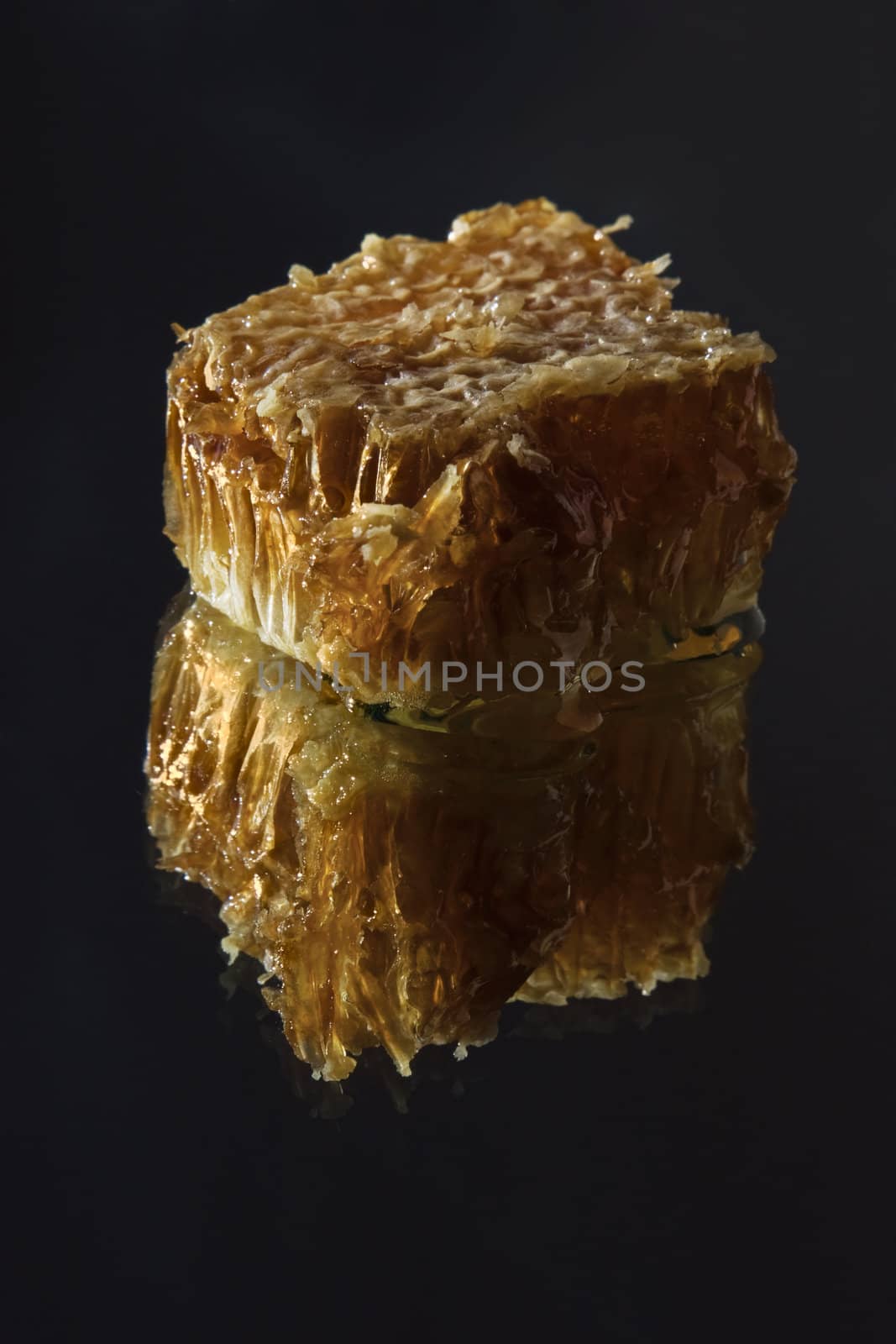 Honey honeycombs by NickS